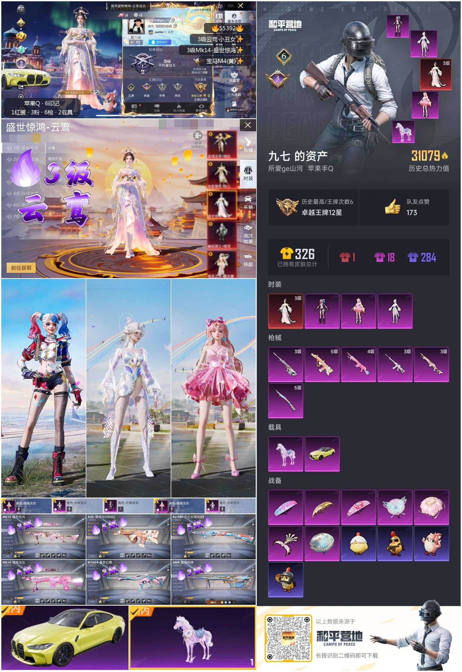 HPSJ3454965和平精英账号详情图2 HPSJ3454965和平精英账号详情图2