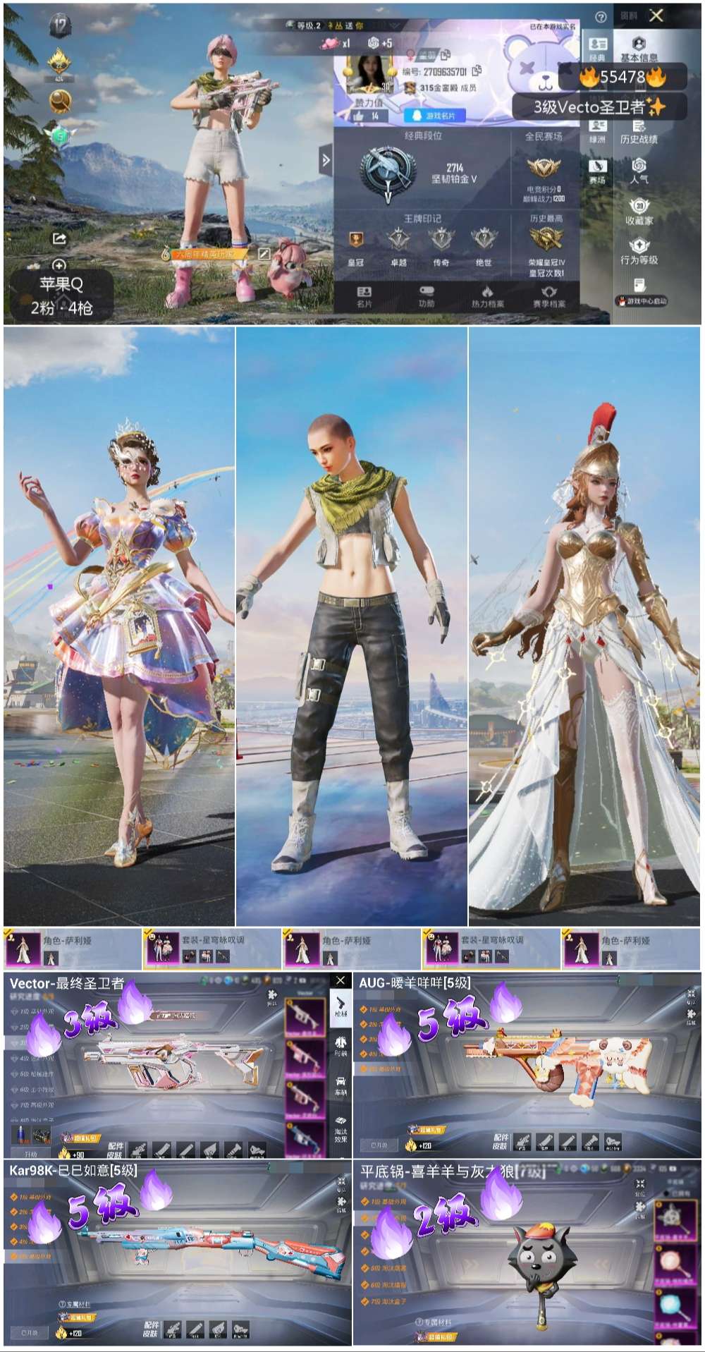 HPSJ40661和平精英账号详情图4