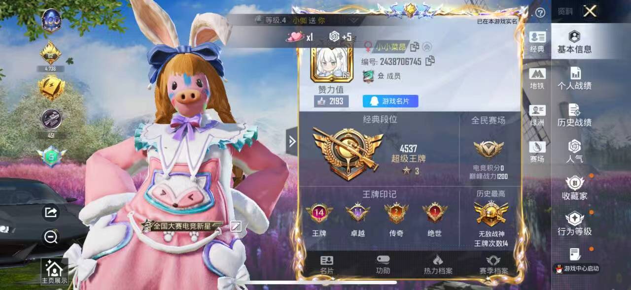 HPSJ3454986和平精英账号详情图3