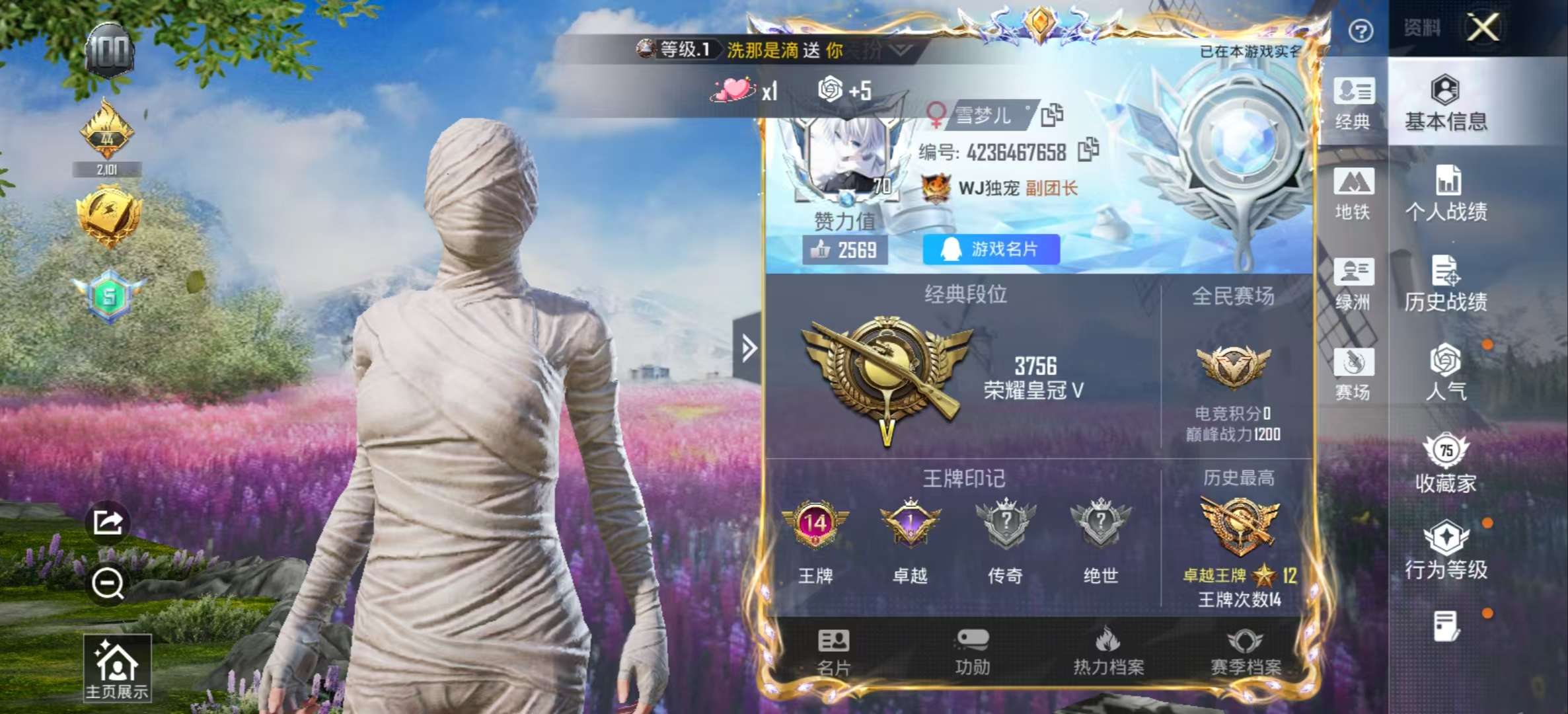 HPSJ3455110和平精英账号详情图3 HPSJ3455110和平精英账号详情图3