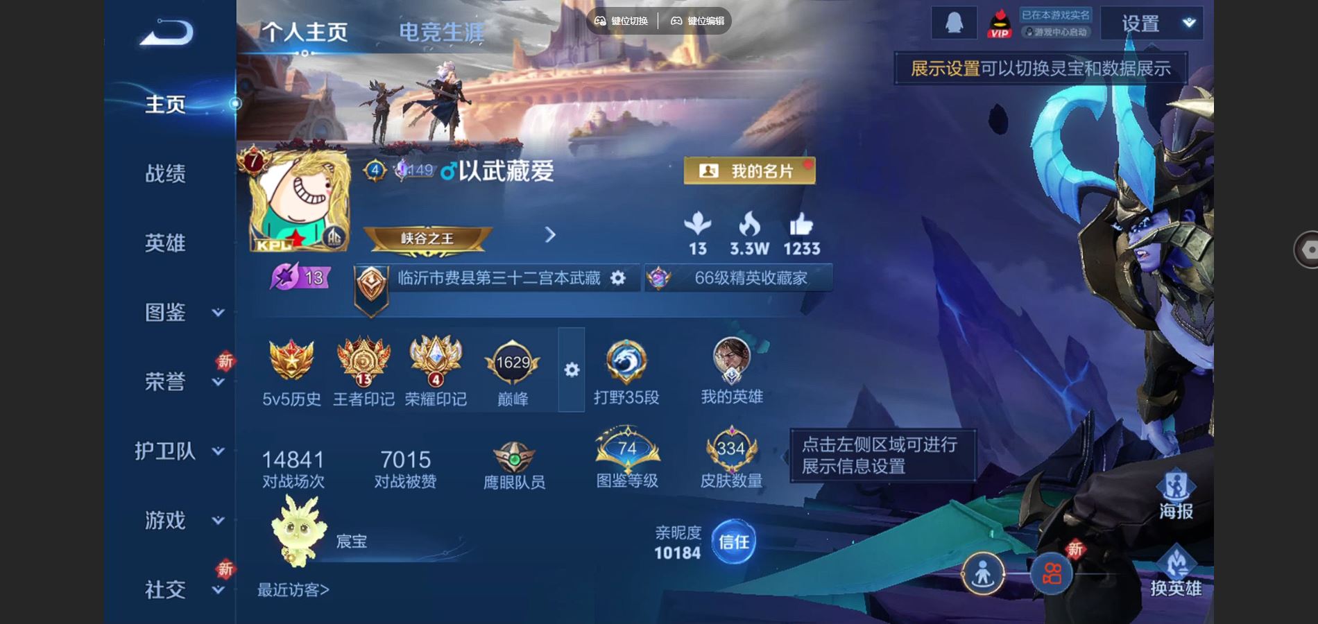 WZCMW425459王者荣耀账号详情图2