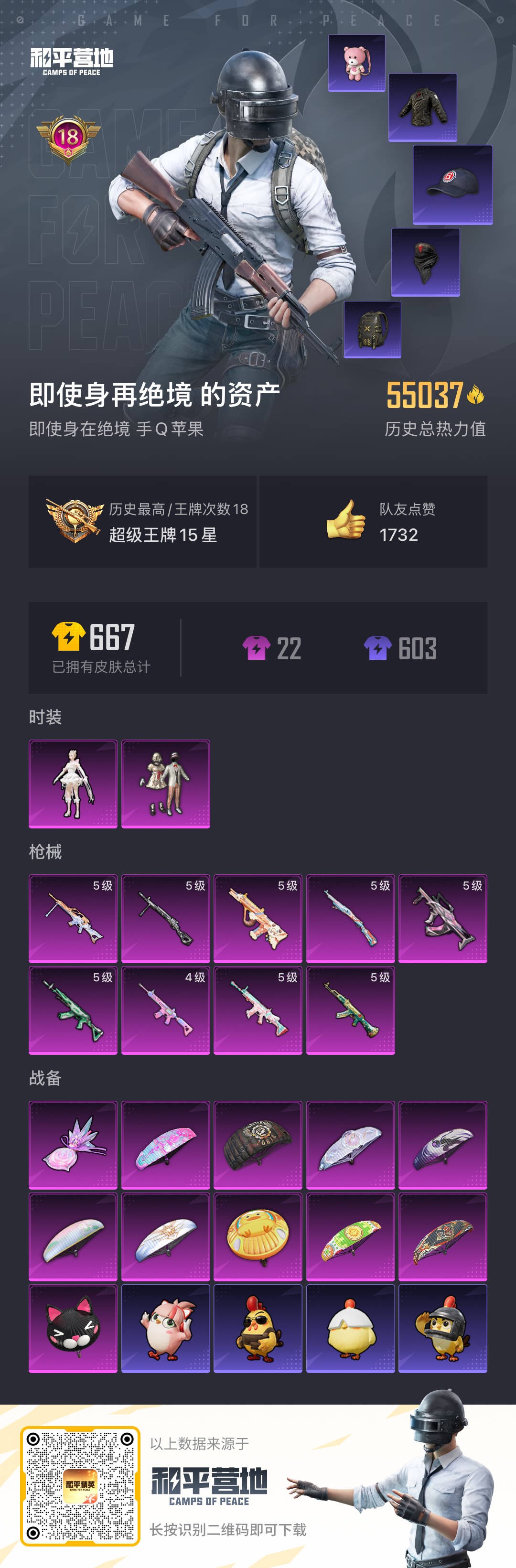 HPSJ45258和平精英账号详情图3