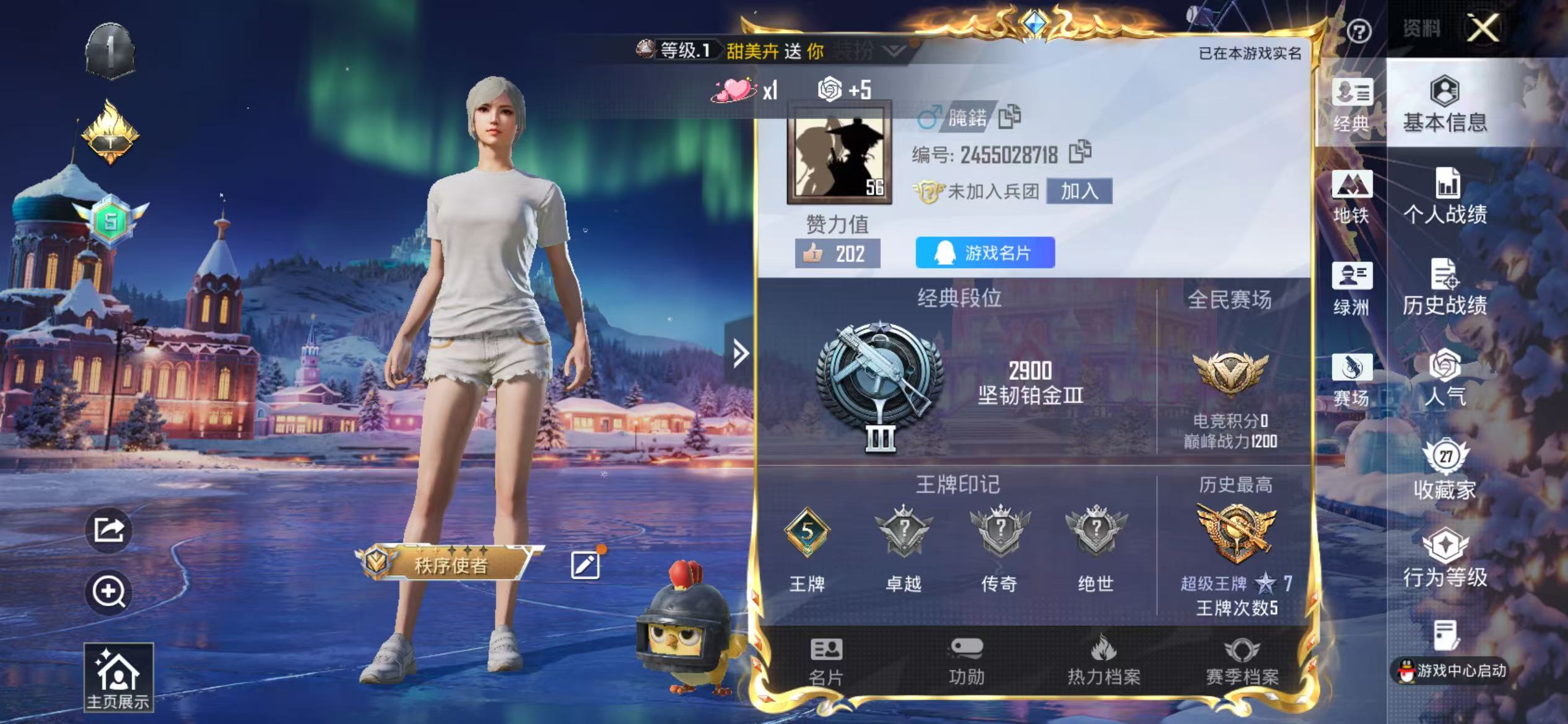 HPSJ40665和平精英账号详情图4