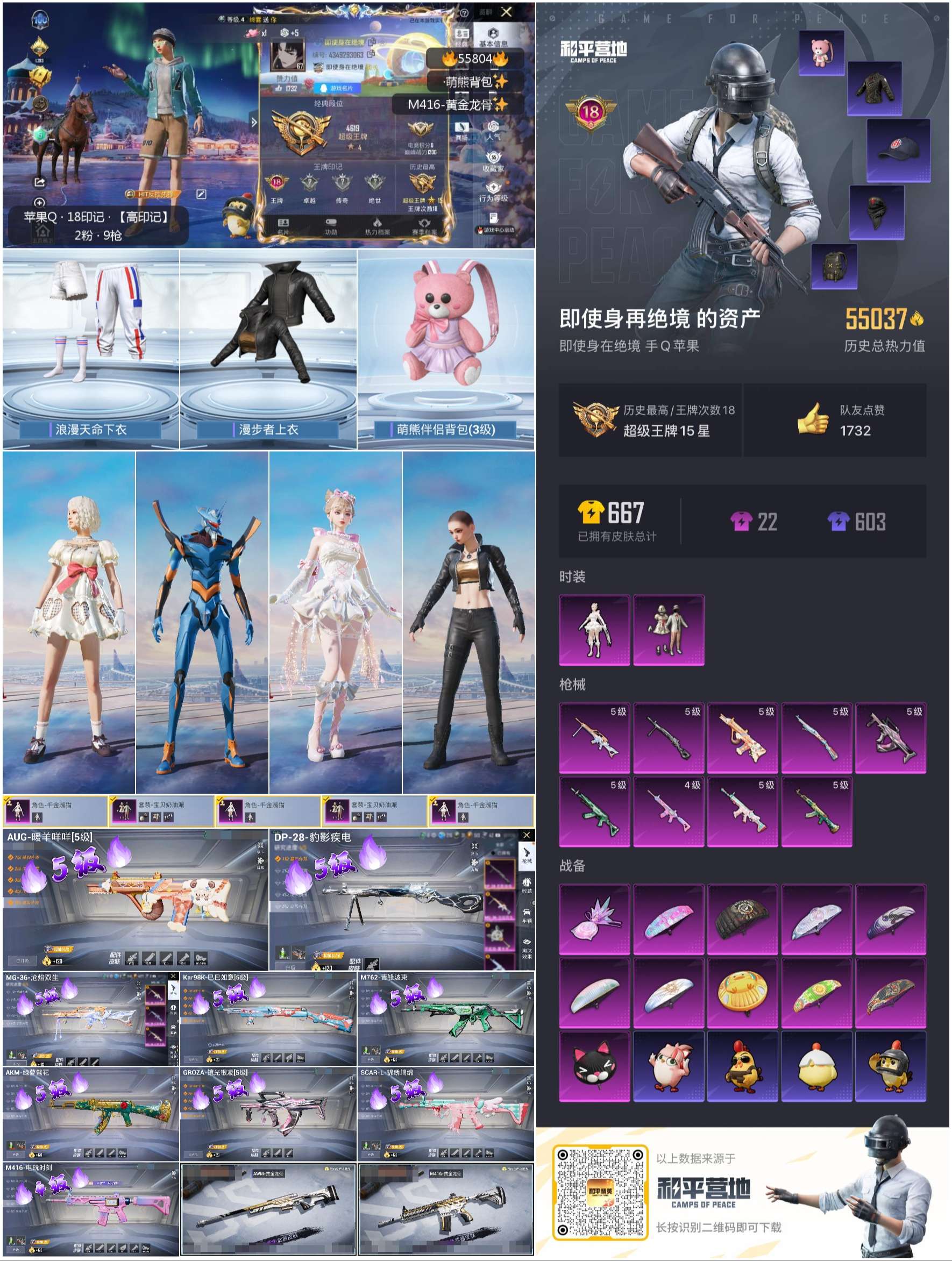 HPSJ45258和平精英账号详情图4