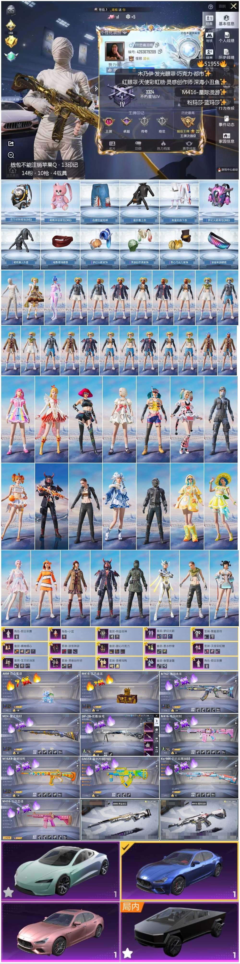 HPSJ3415023和平精英账号详情图3 HPSJ3415023和平精英账号详情图3