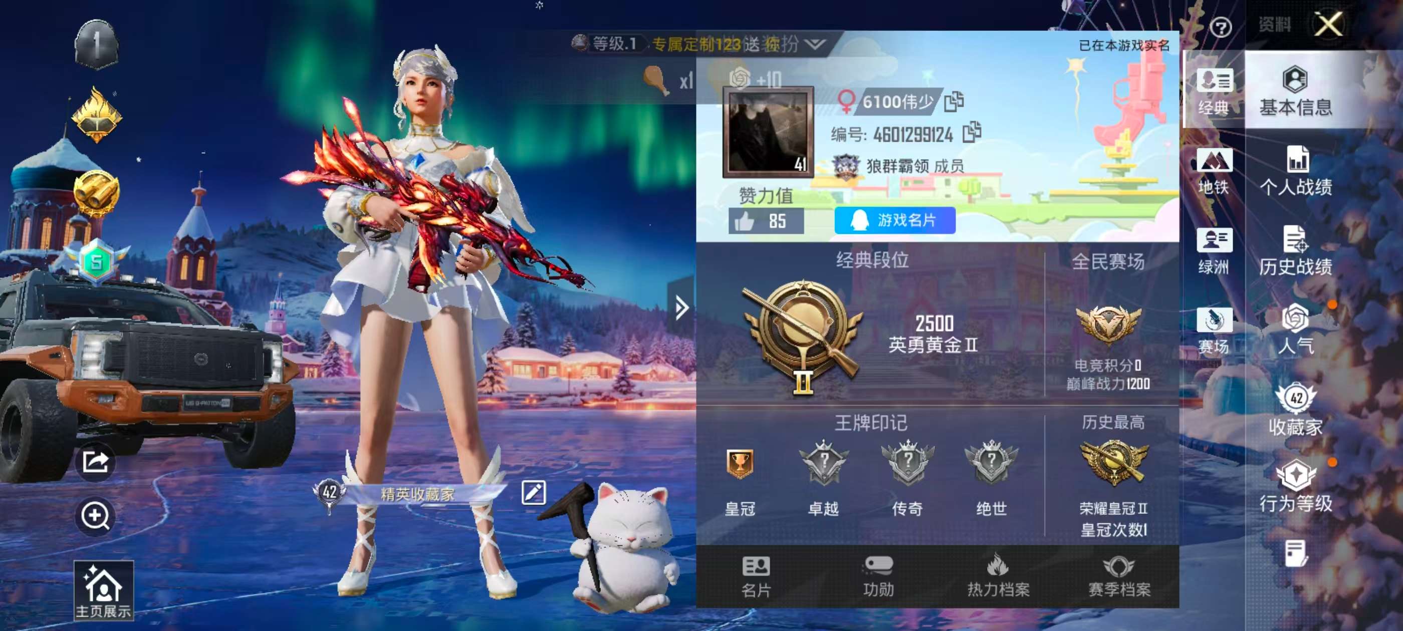 HPSJ3415036和平精英账号详情图2 HPSJ3415036和平精英账号详情图2