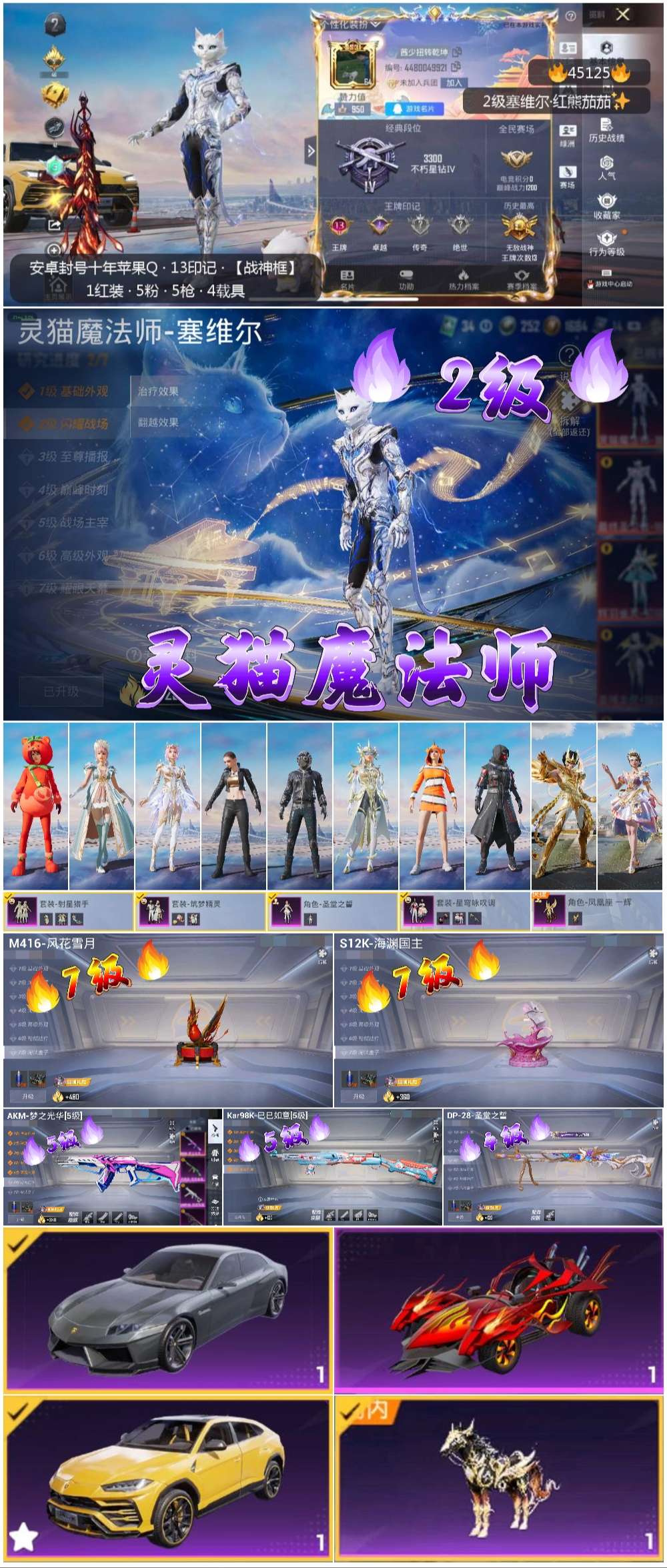 HPSJ3413141和平精英账号详情图4 HPSJ3413141和平精英账号详情图4