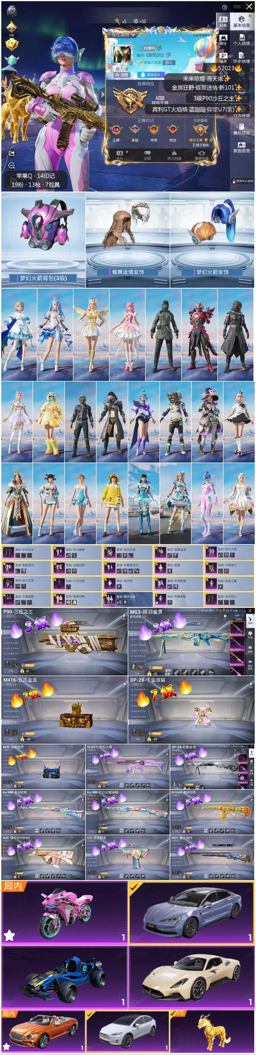 HPSJ3415091和平精英账号详情图4 HPSJ3415091和平精英账号详情图4