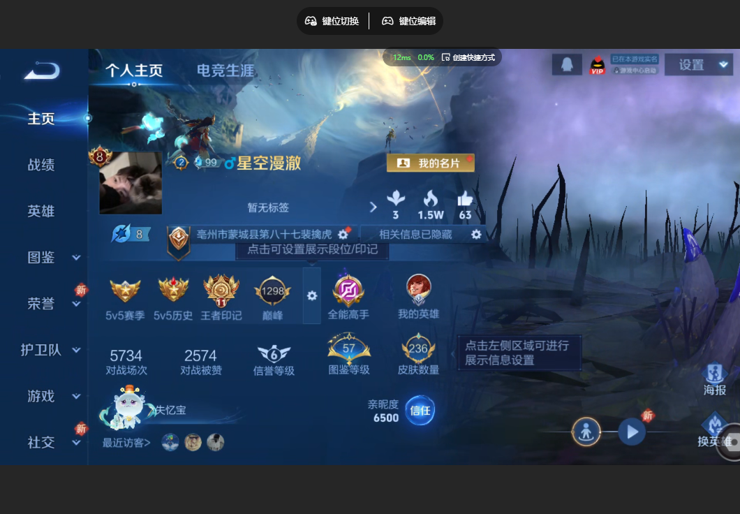 王者荣耀账号苹果QQ【30传说 星域神启 幽冥之眼 14皮肤按键】苹果QQ/V8/非凡王者/236皮肤/125英雄/1典