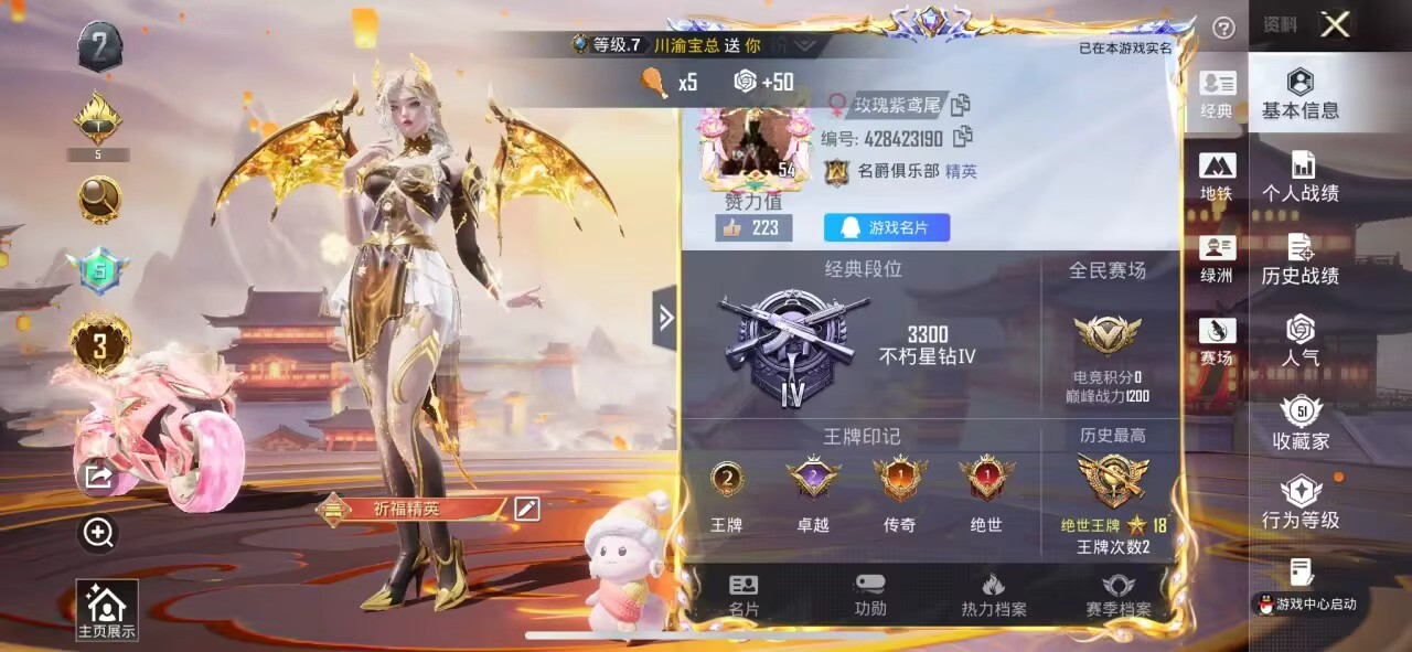 HPSJ3421423和平精英账号详情图2 HPSJ3421423和平精英账号详情图2