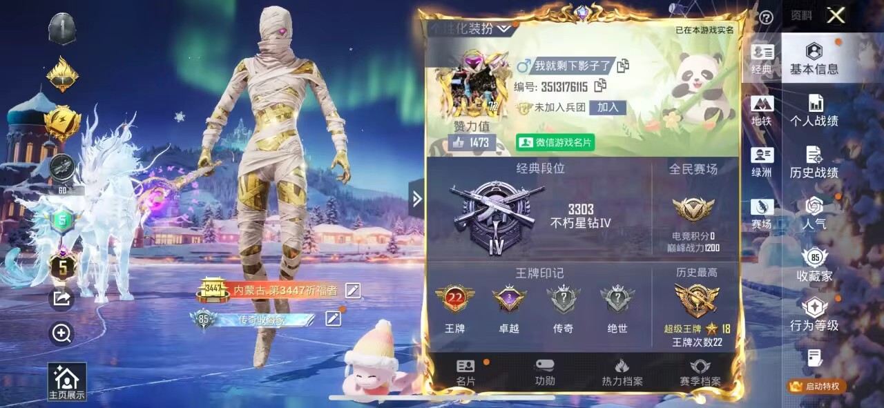 HPSJ3417121和平精英账号详情图2 HPSJ3417121和平精英账号详情图2