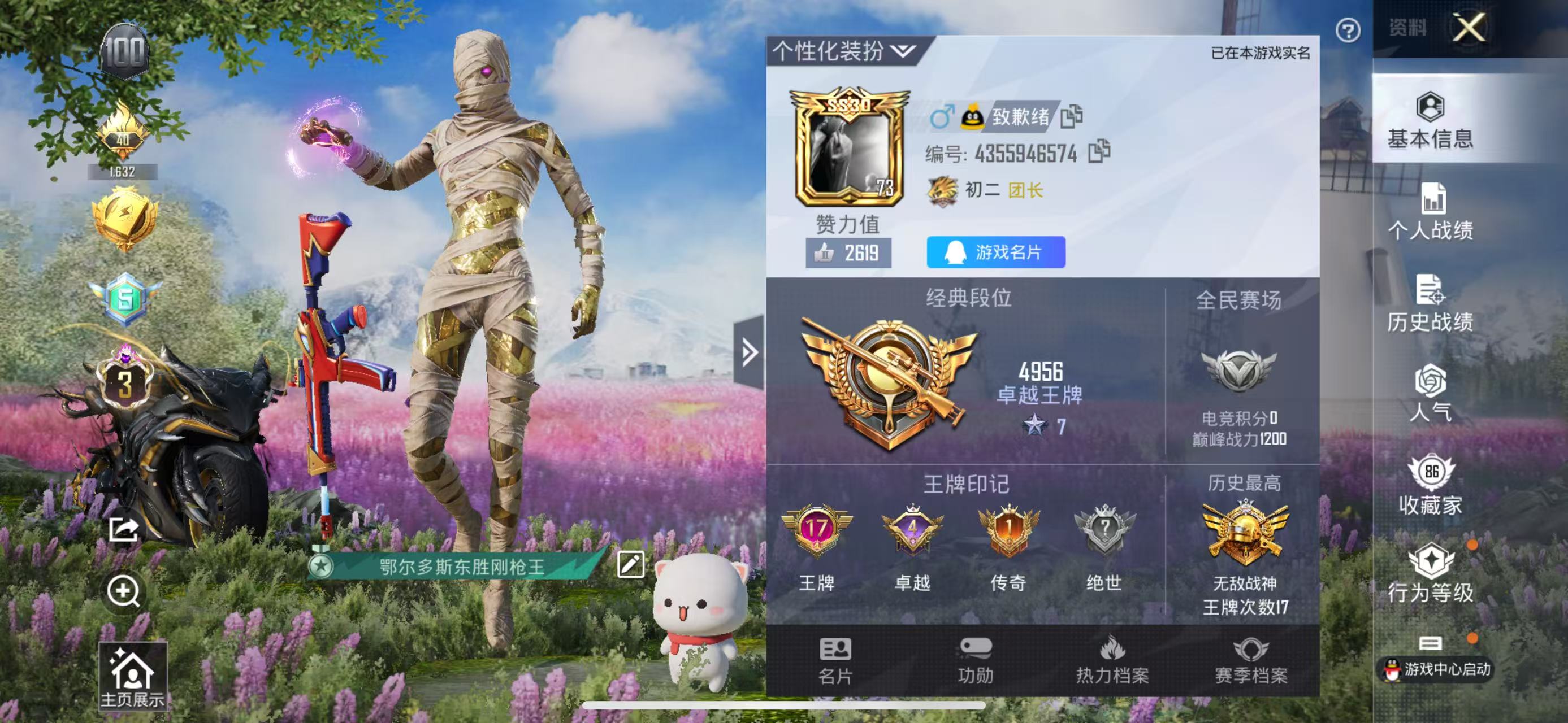 HPKG3175026和平精英账号详情图5