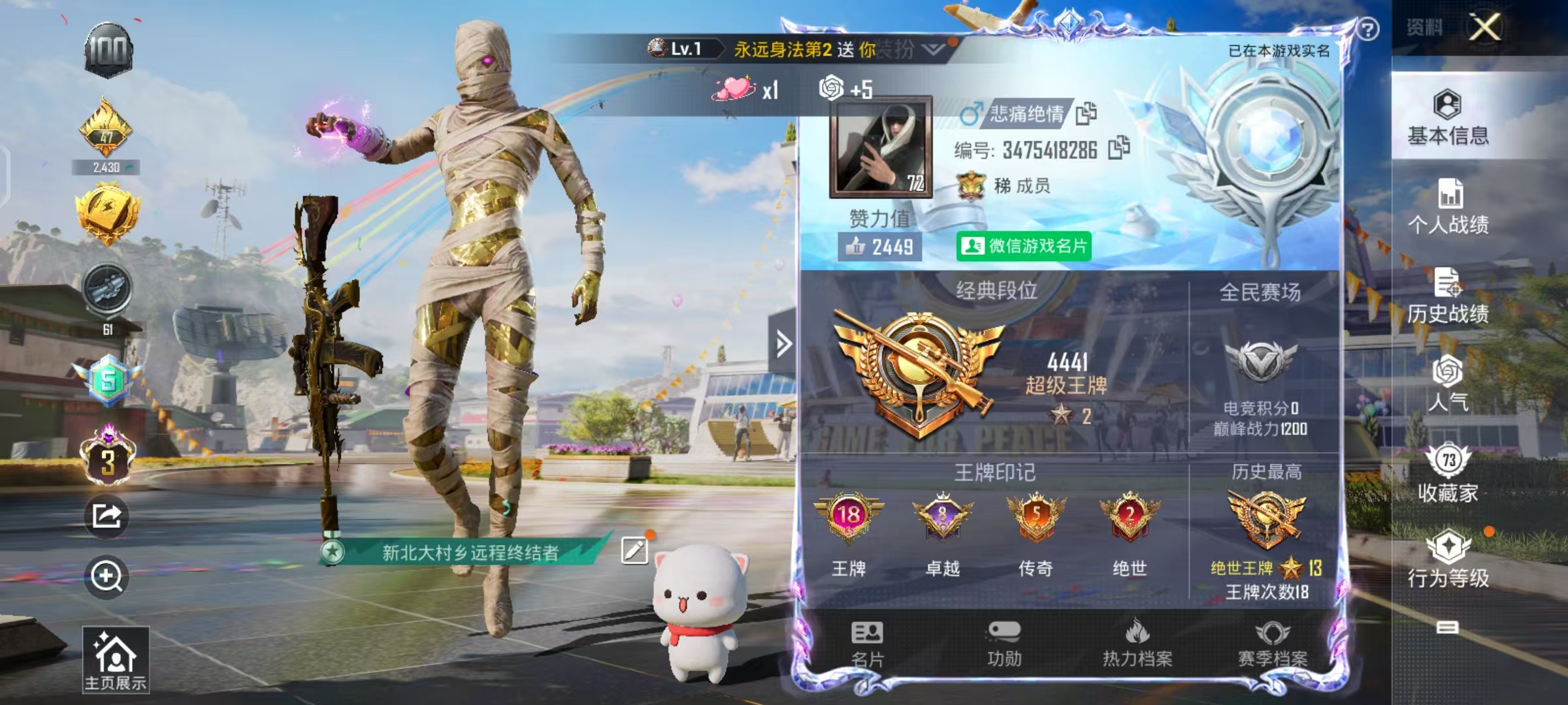 HPSJ3226664和平精英账号详情图11