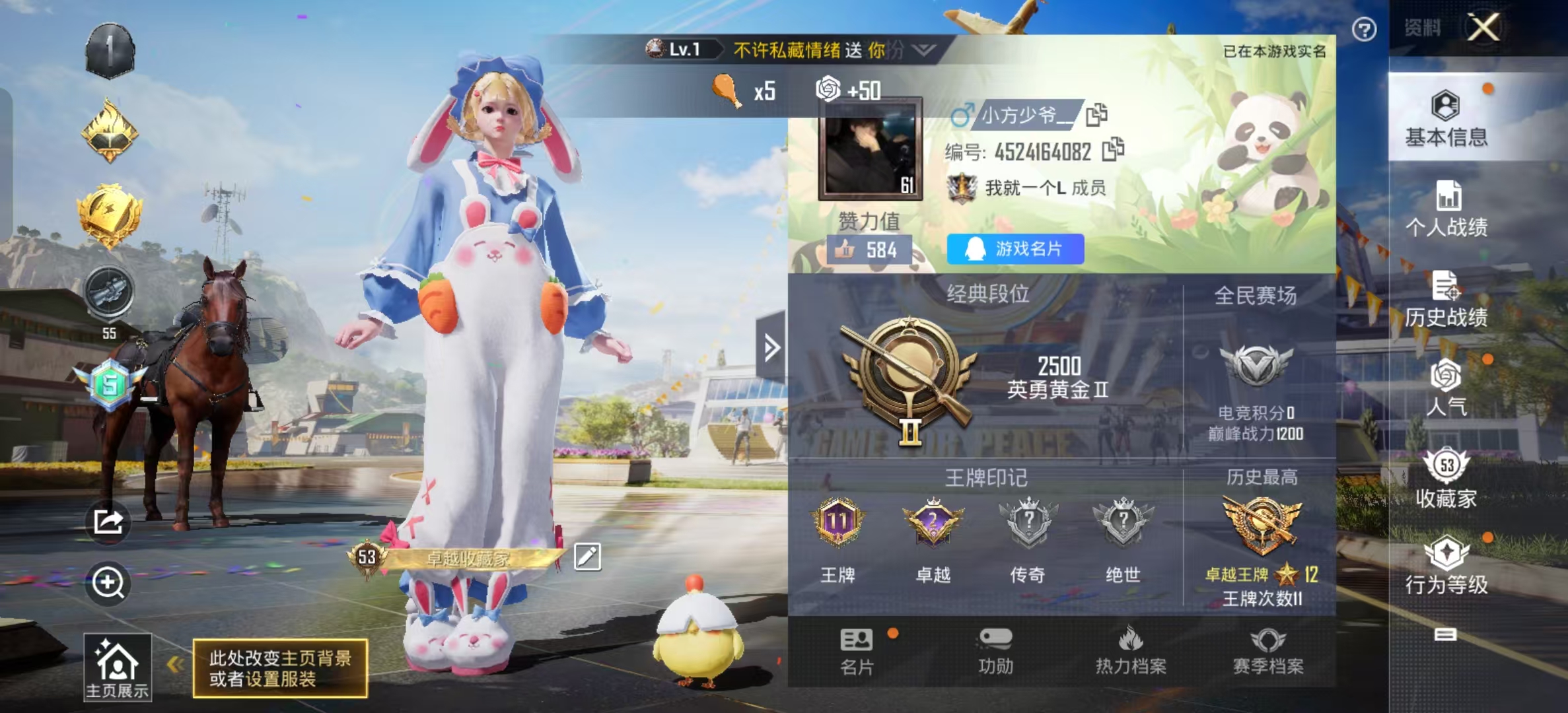 HPKG3166485和平精英账号详情图10