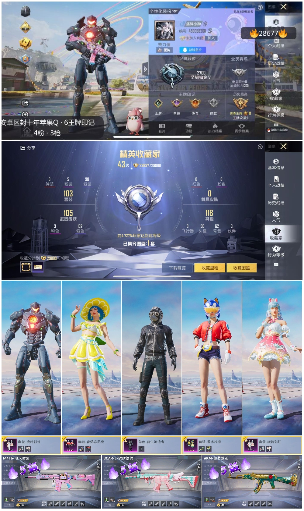 HPSJ3165666和平精英账号详情图5