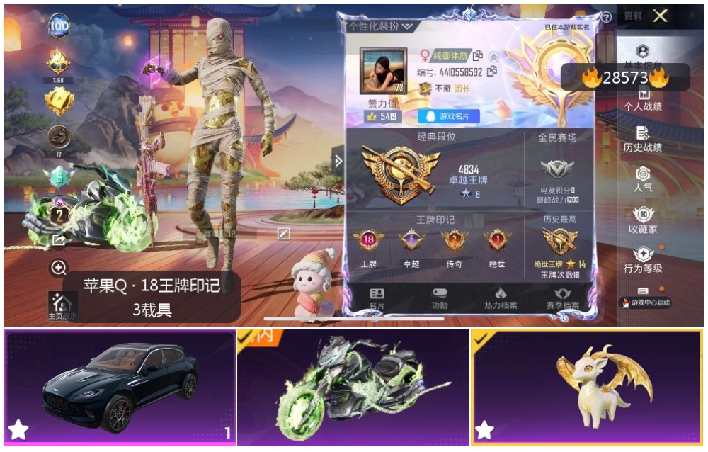 HPSJ3164687和平精英账号详情图4