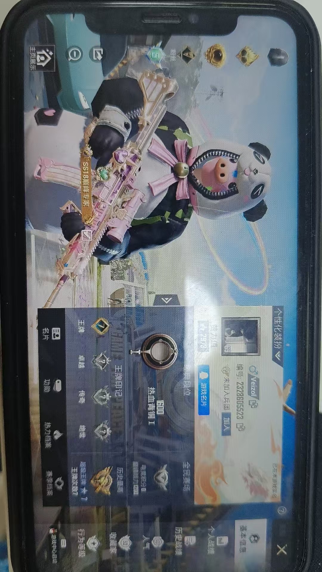 HPSJ3202533和平精英账号详情图9 HPSJ3202533和平精英账号详情图9