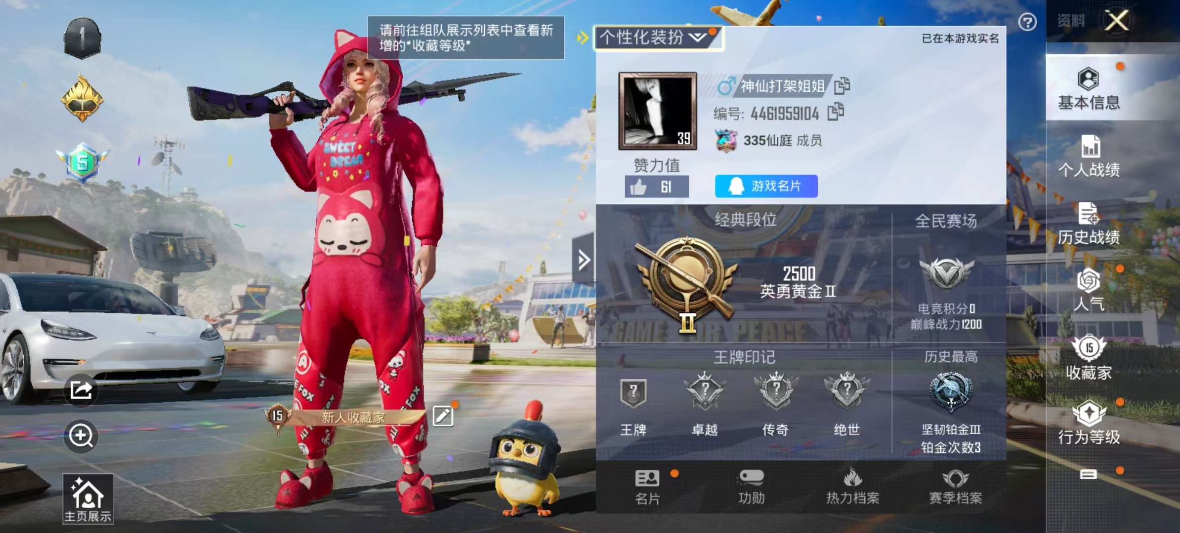 HPKG3245292和平精英账号详情图7 HPKG3245292和平精英账号详情图7