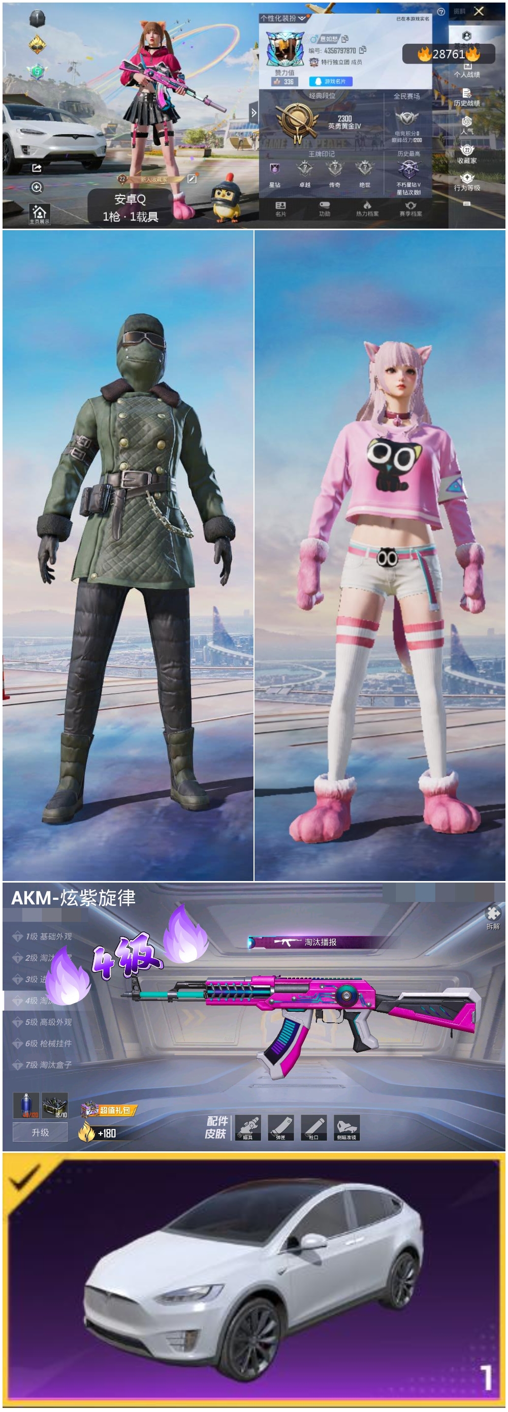HPKG3179921和平精英账号详情图6