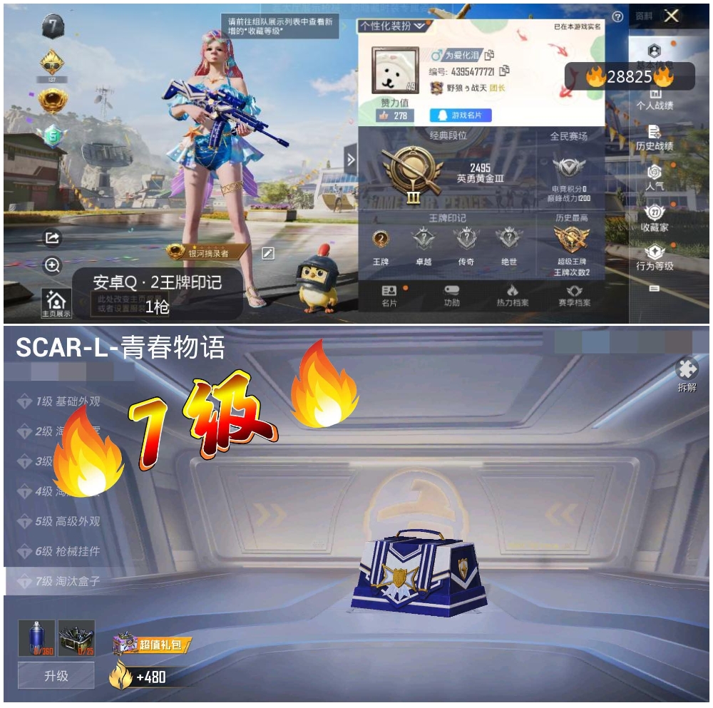 HPSJ3173902和平精英账号详情图4