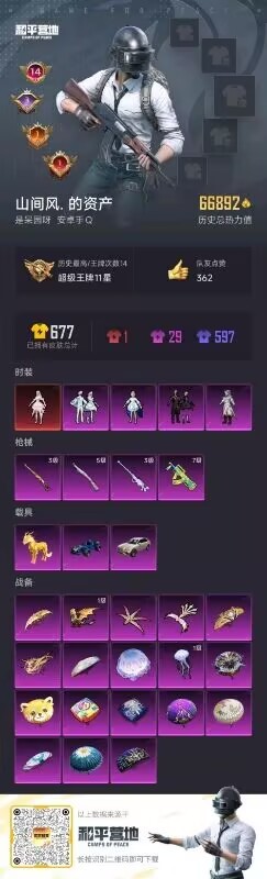 HPSJ3177926和平精英账号详情图8 HPSJ3177926和平精英账号详情图8