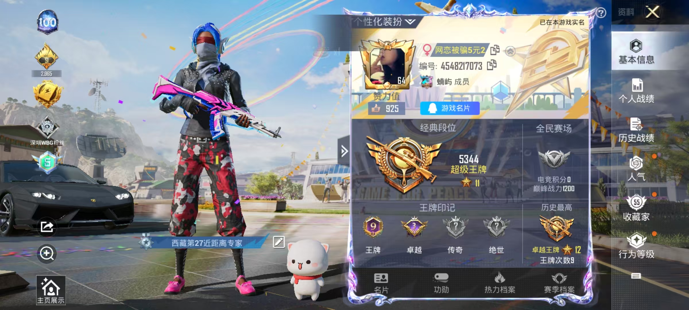 HPSJ3180076和平精英账号详情图7