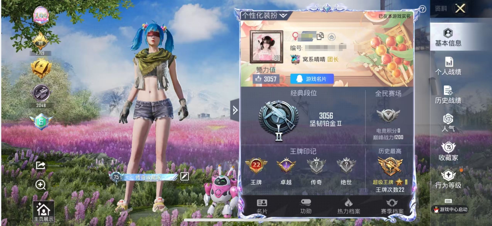 HPSJ3300632和平精英账号详情图3