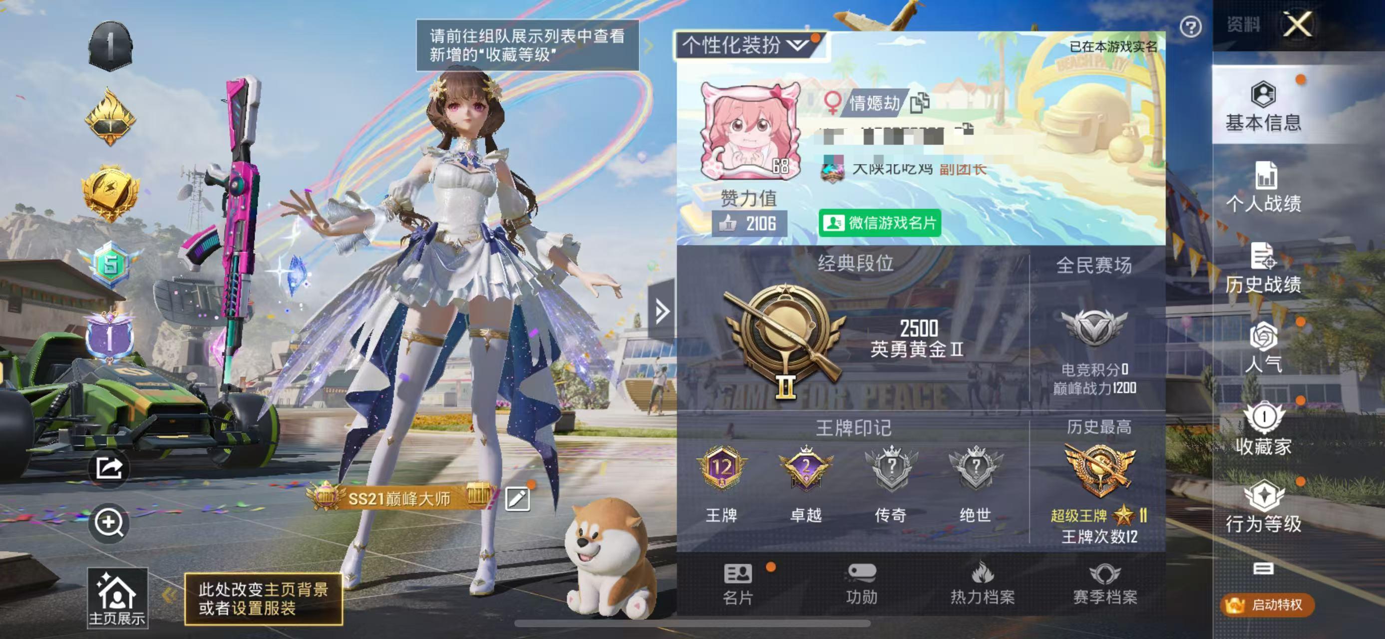 32417 苹果微信-12王牌印记-19粉装-4特效枪-4载具-68956热力值-158套装-178枪皮-2卓越印记-0传奇印记
【19粉装】,梦幻火箭,天使彩虹糖,小叽联名款,缤纷油彩,暗夜玫瑰