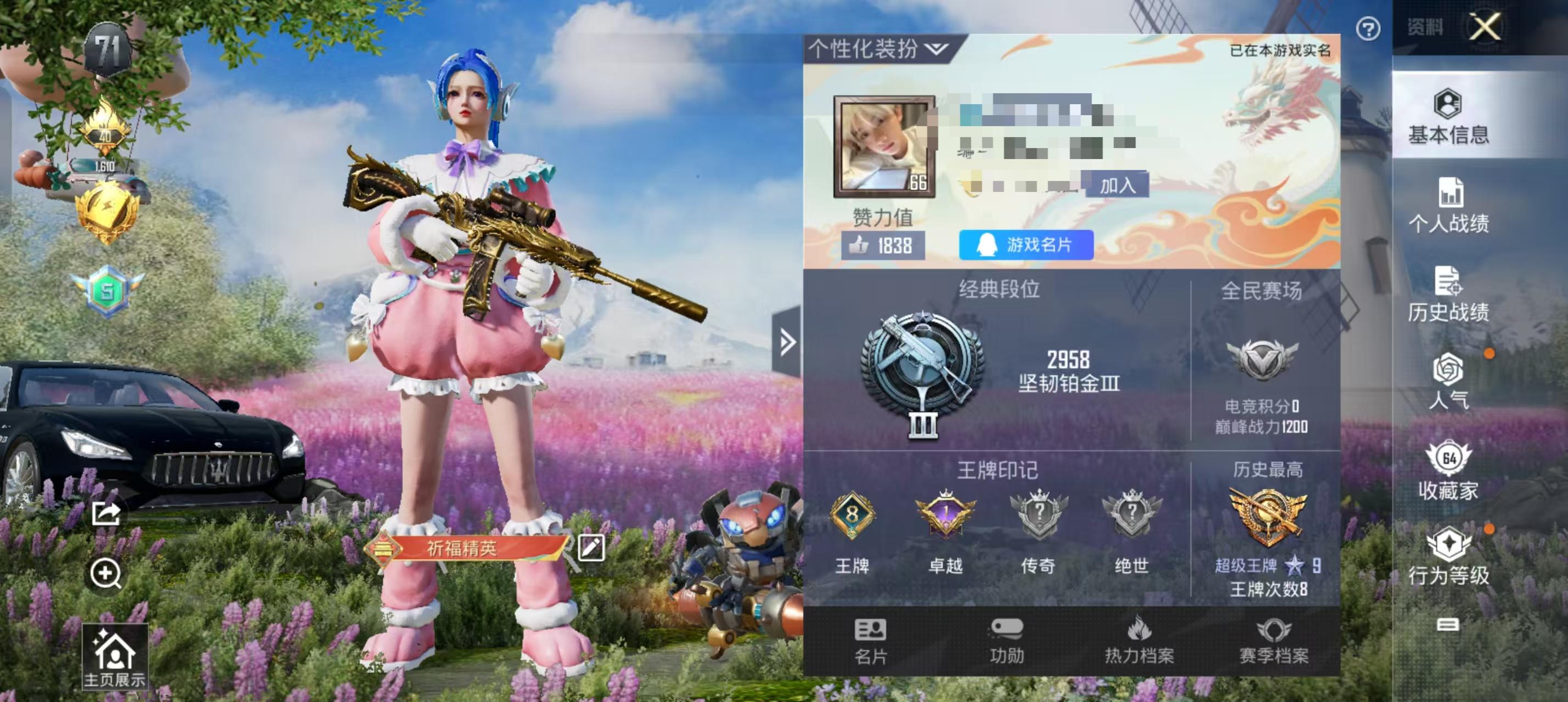 HPSJ3283414和平精英账号详情图4