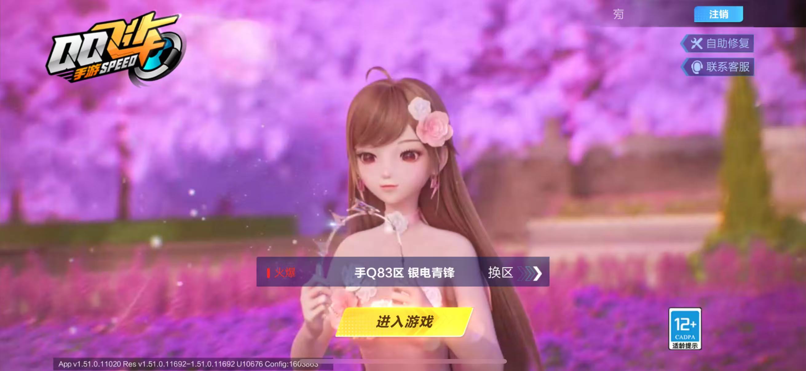 FCSCMW33140QQ飞车手游账号详情图2