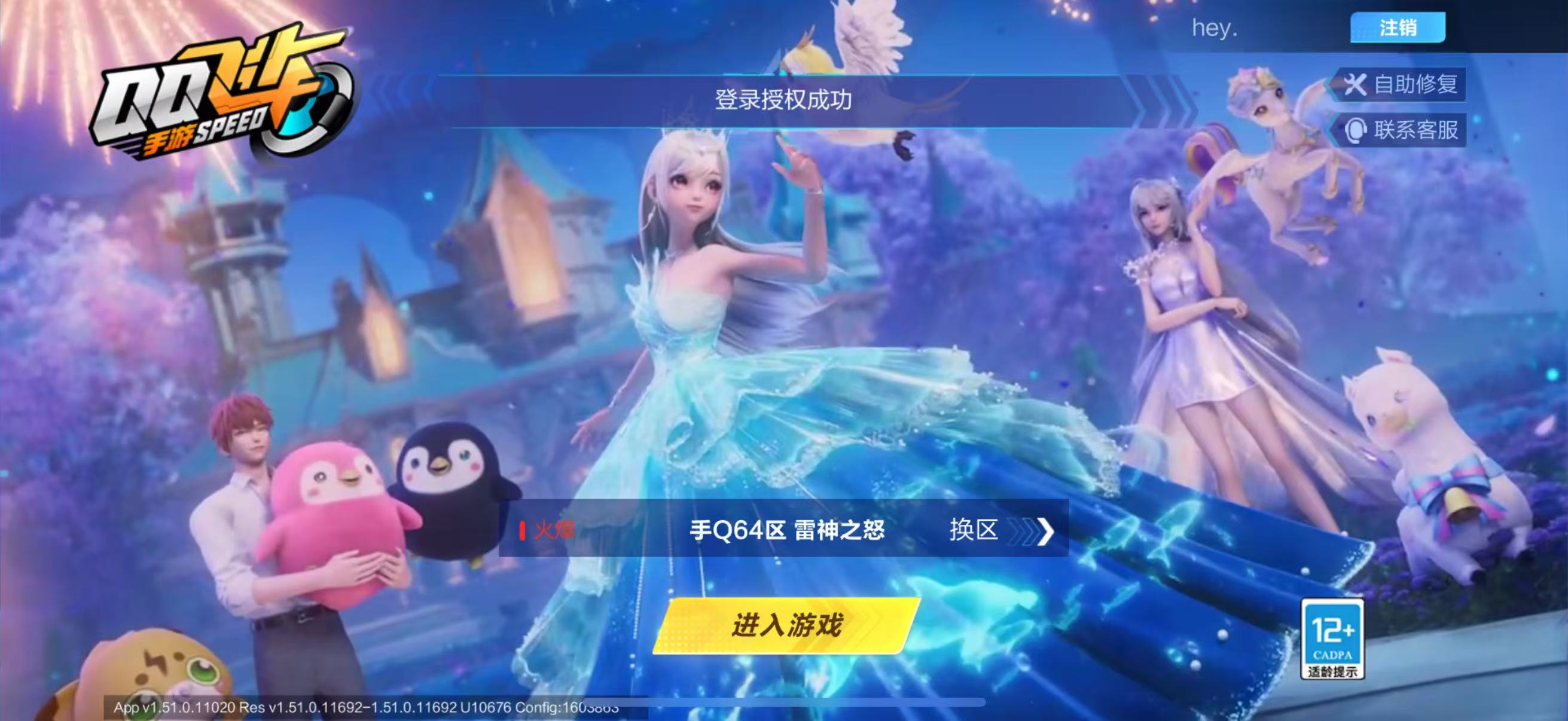 FCSCMW33141QQ飞车手游账号详情图2