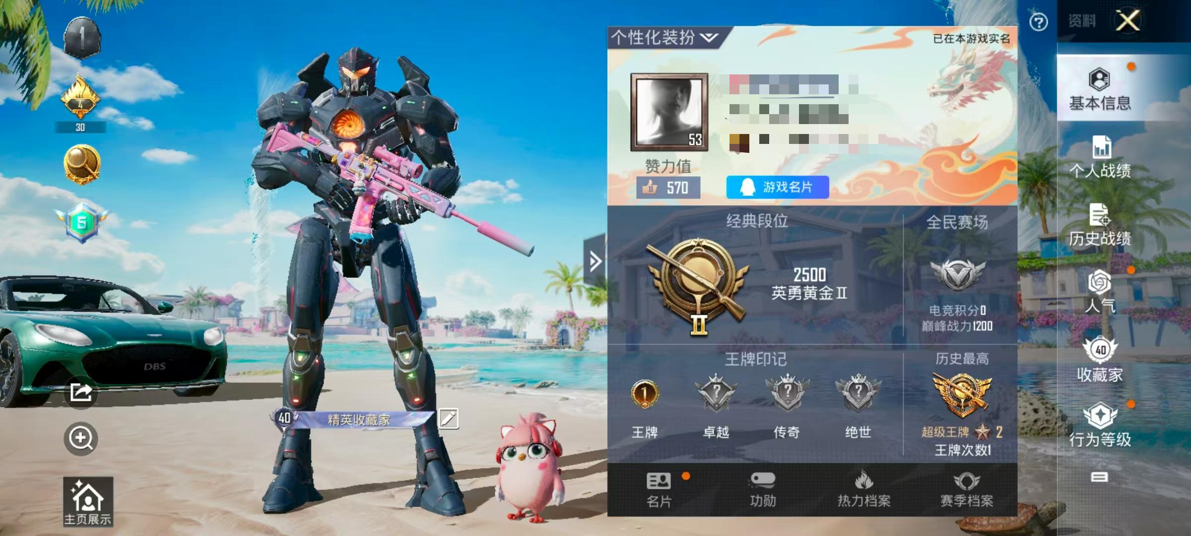 HPSJ3287153和平精英账号详情图2