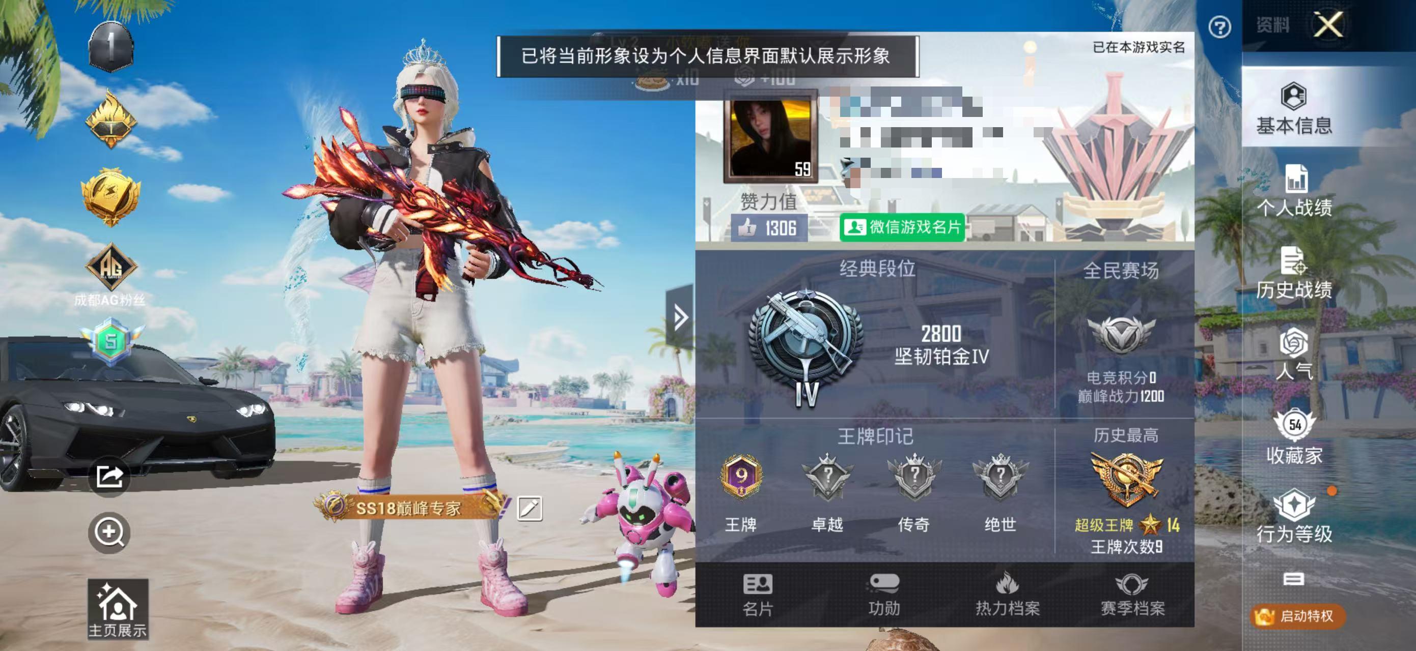 HPSJ3288894和平精英账号详情图2
