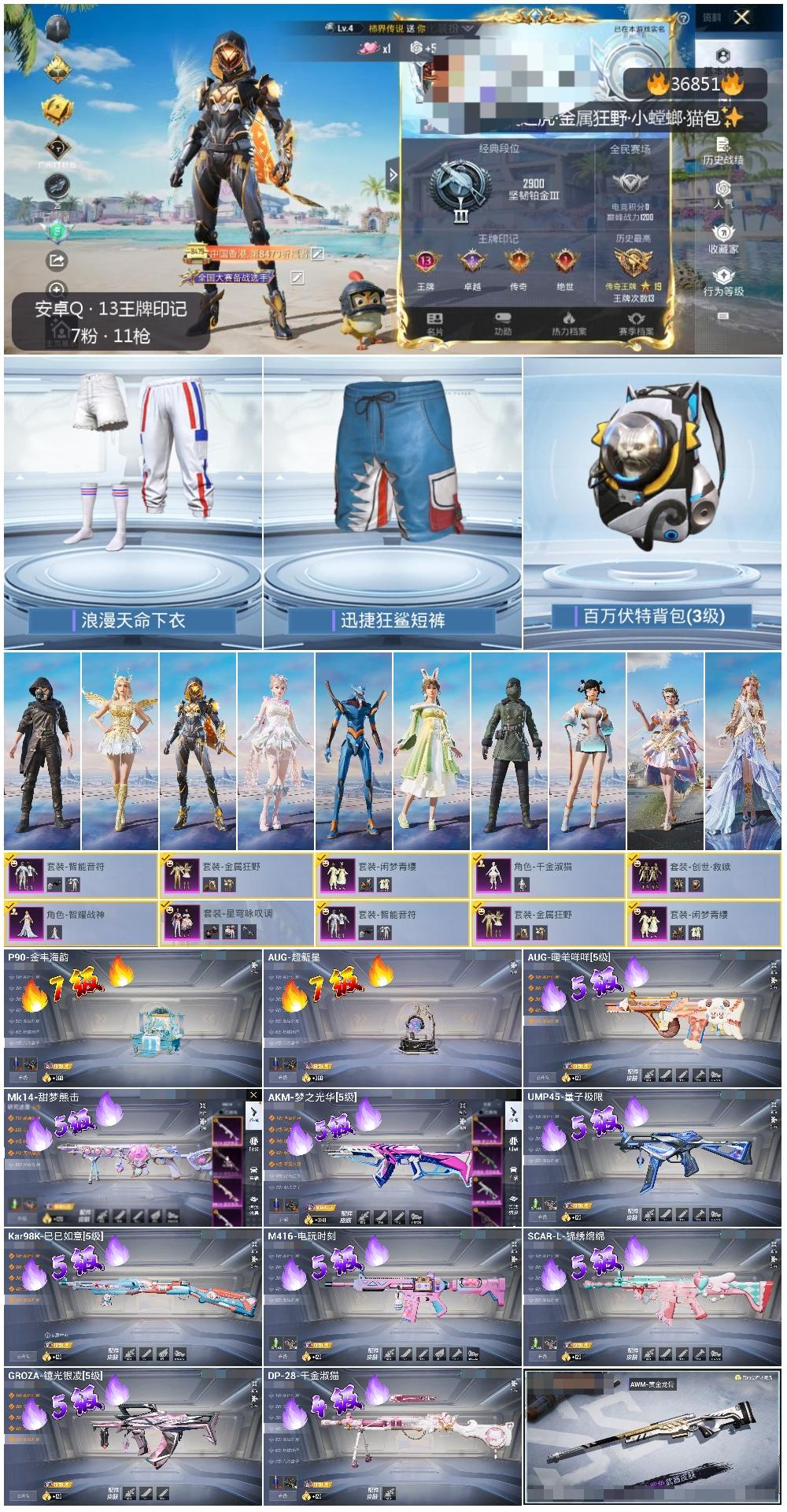 HPSJ3294537和平精英账号详情图4