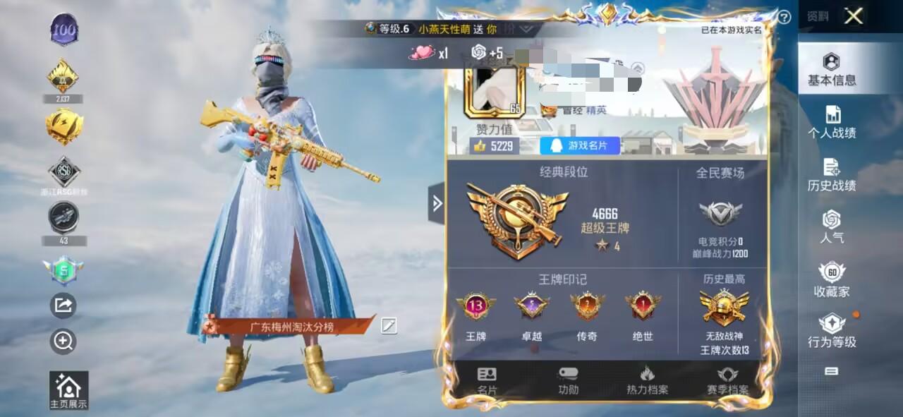 HPSJ3308026和平精英账号详情图2