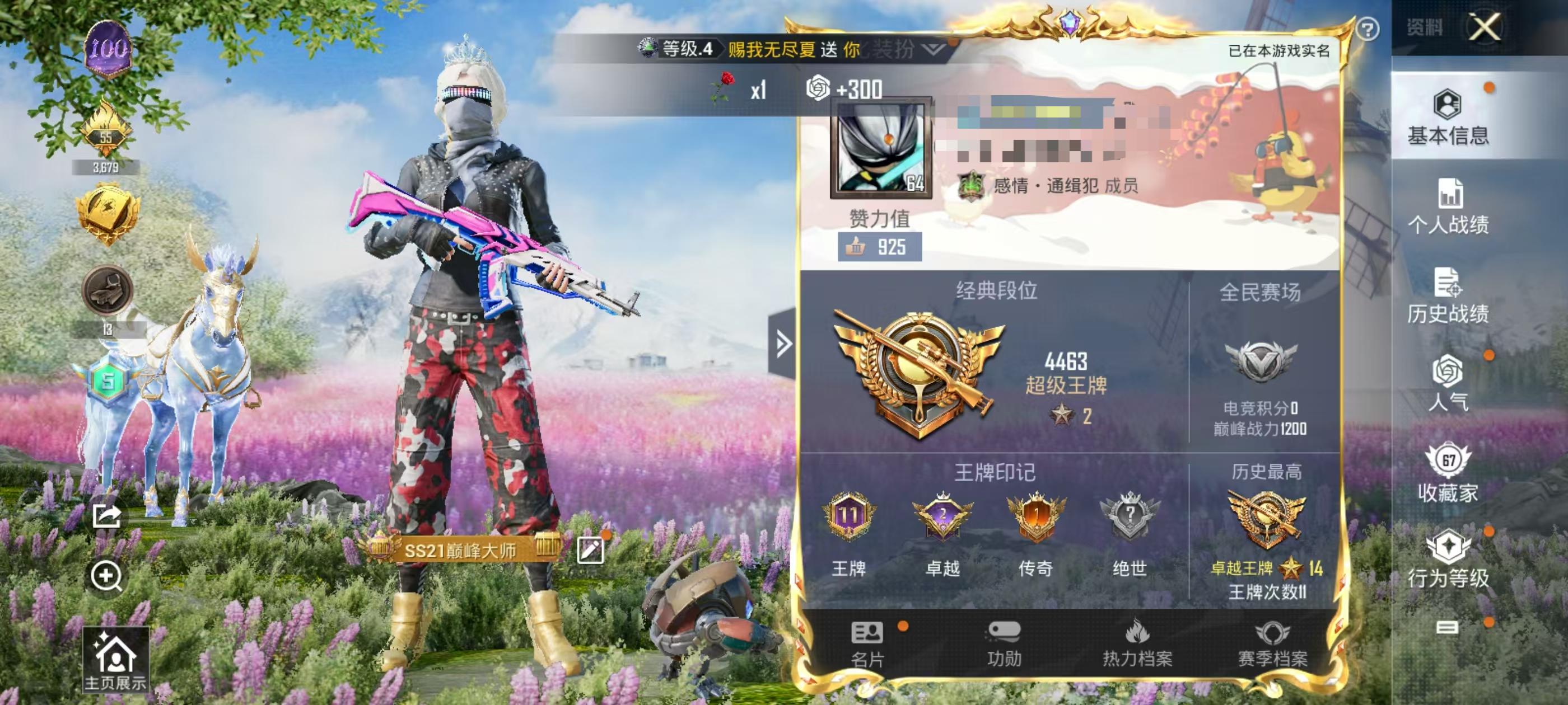 HPSJ3308797和平精英账号详情图2