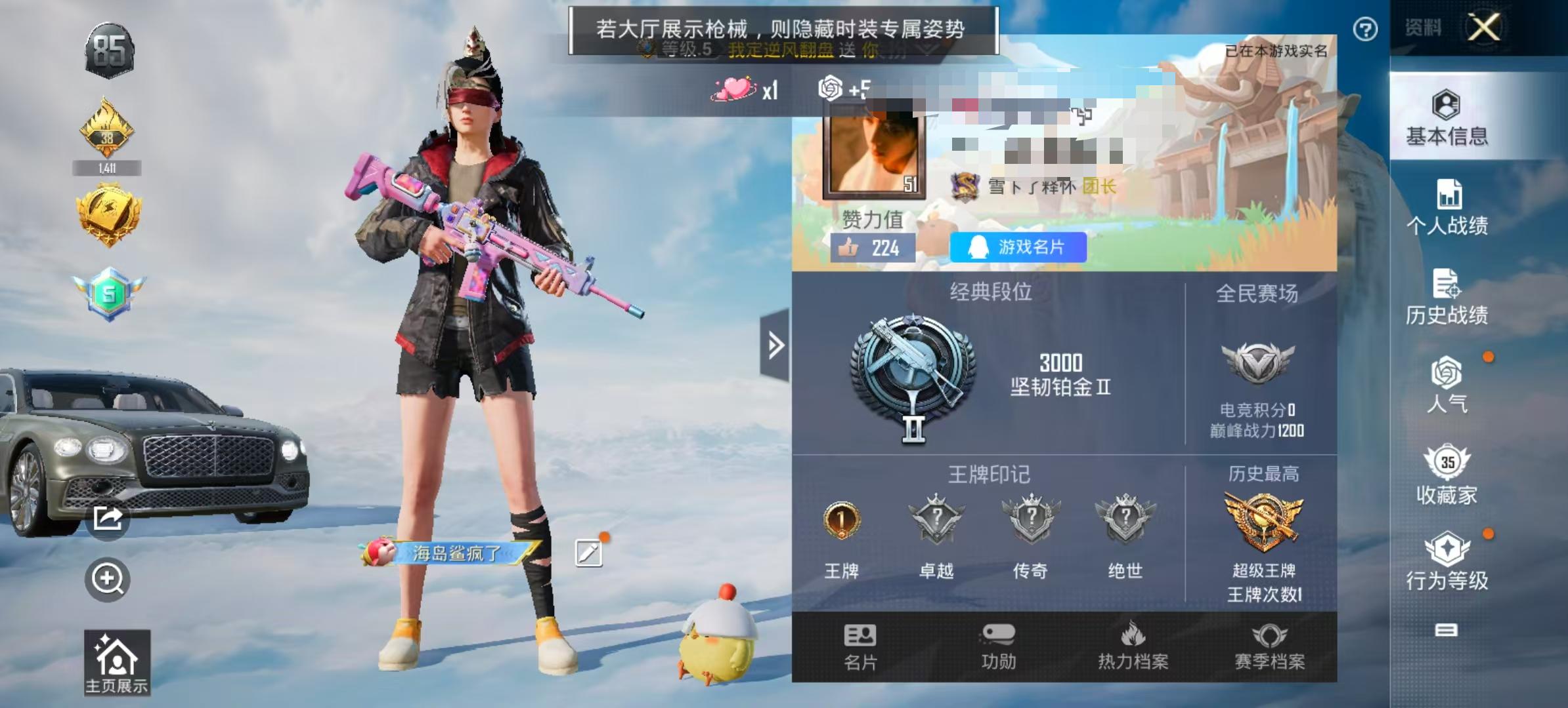 HPSJ3310331和平精英账号详情图2 HPSJ3310331和平精英账号详情图2