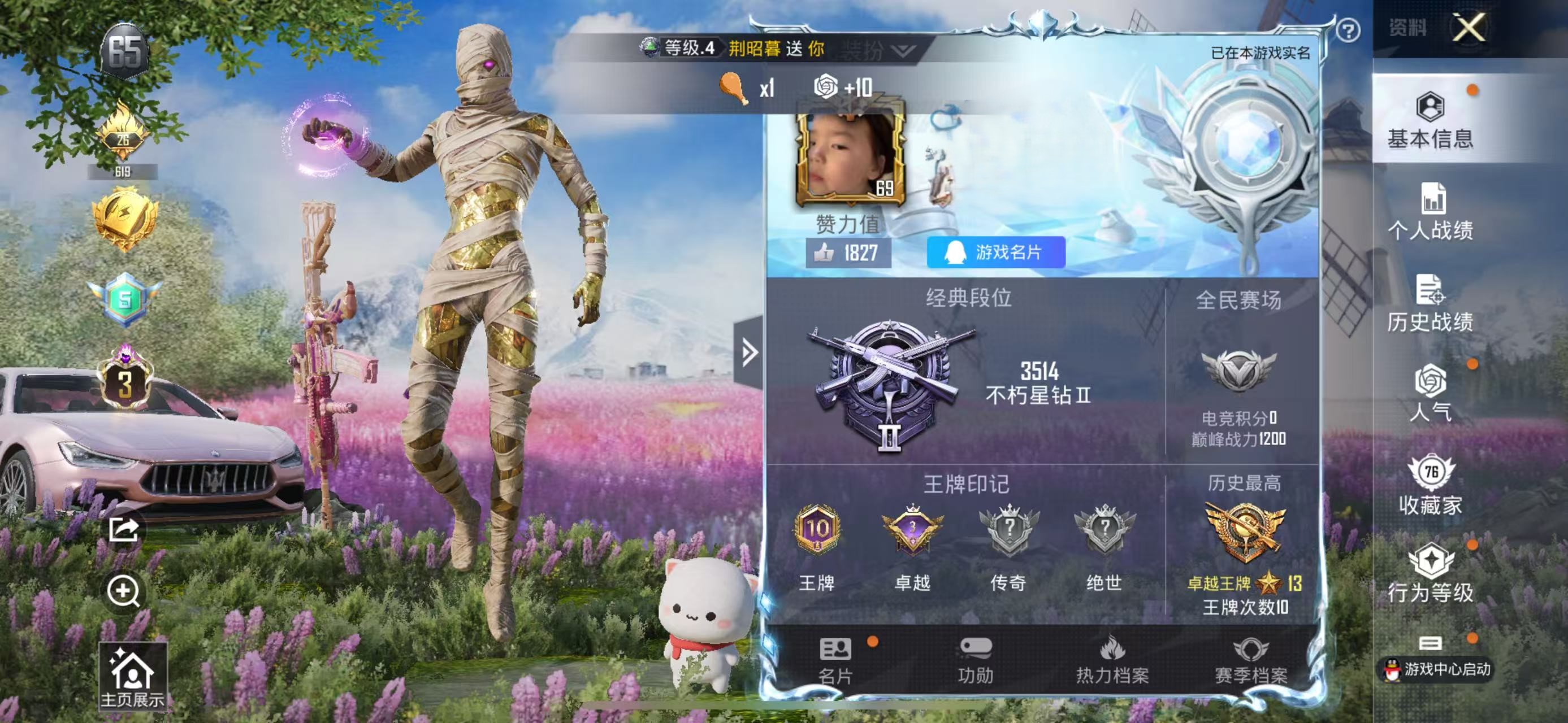 HPSJ3310820和平精英账号详情图2 HPSJ3310820和平精英账号详情图2