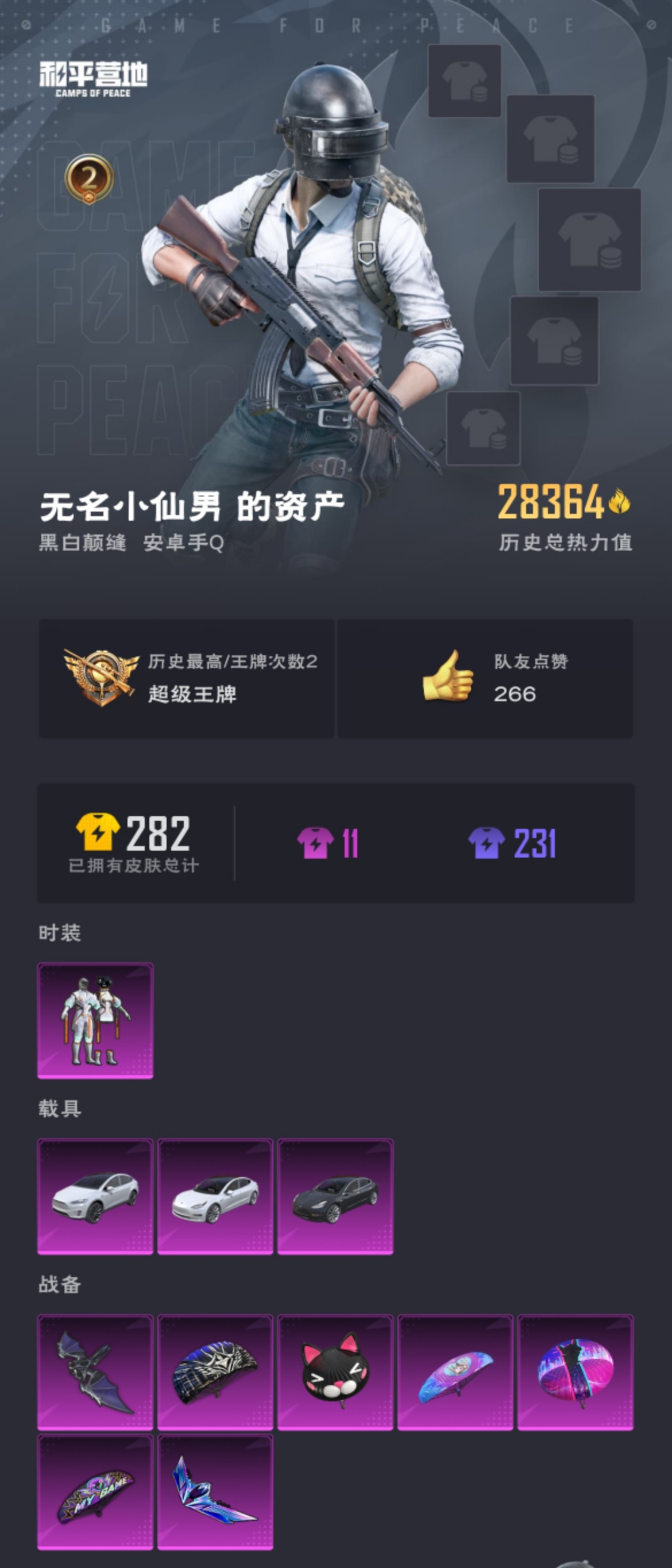 HPZM3311839和平精英账号详情图2