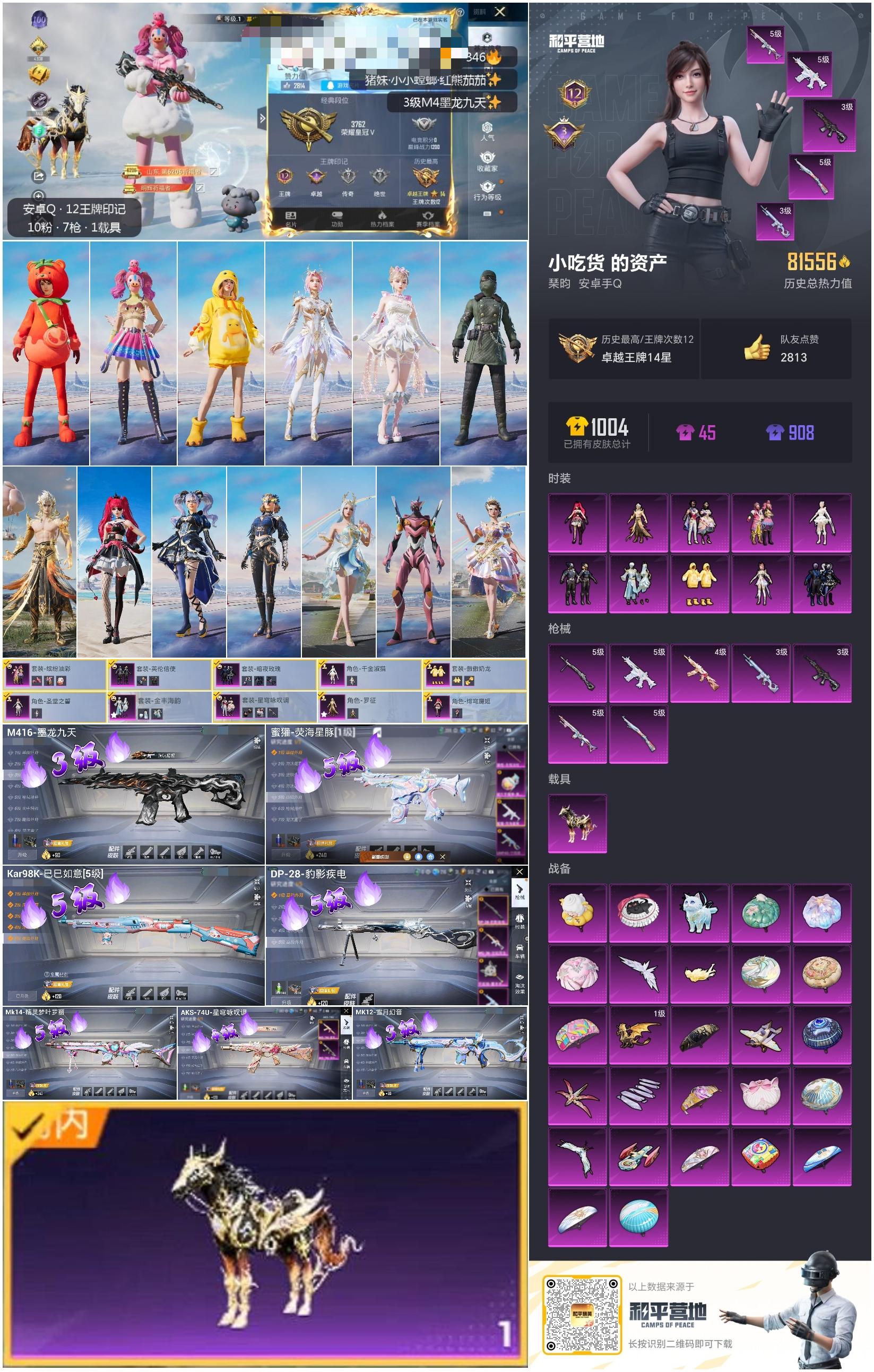 HPSJ3311355和平精英账号详情图3