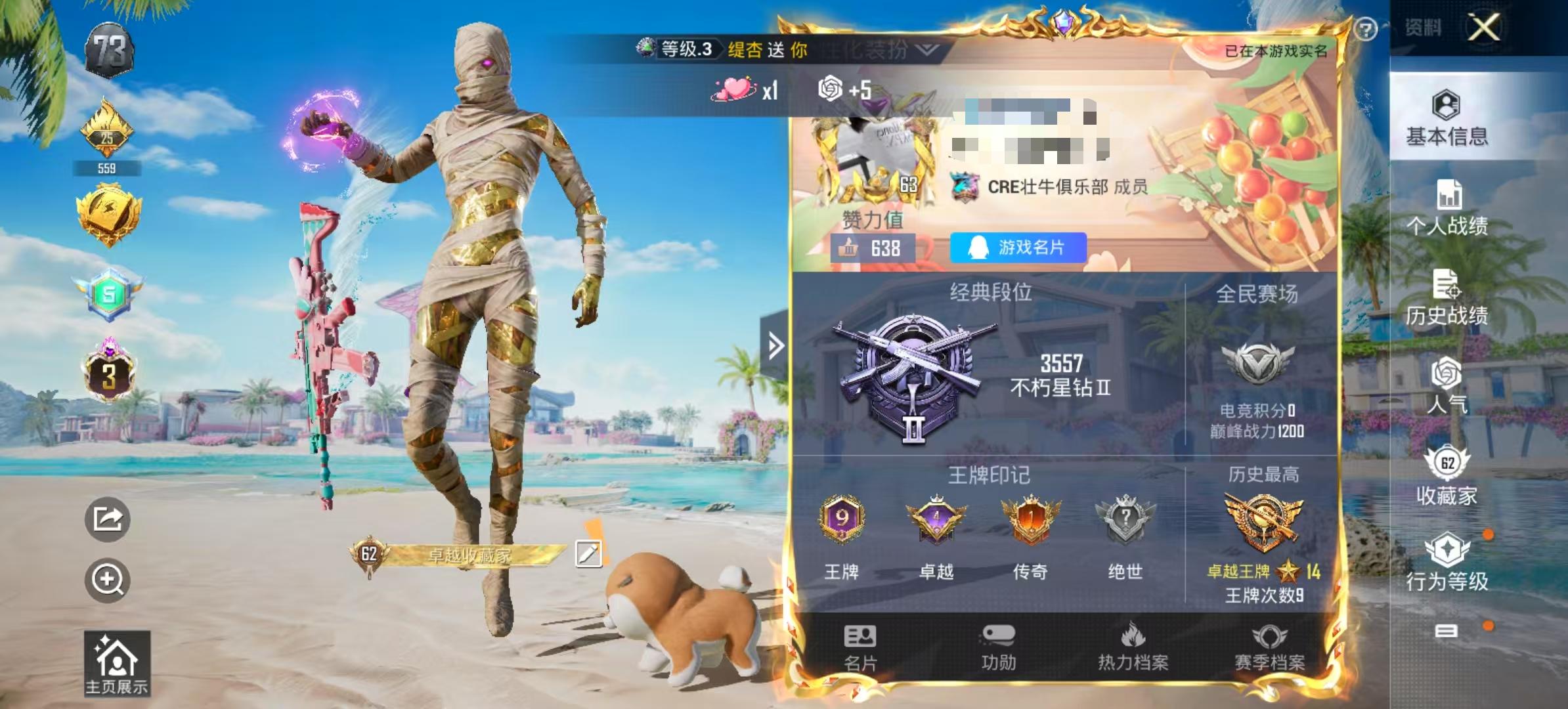HPSJ3298178和平精英账号详情图4