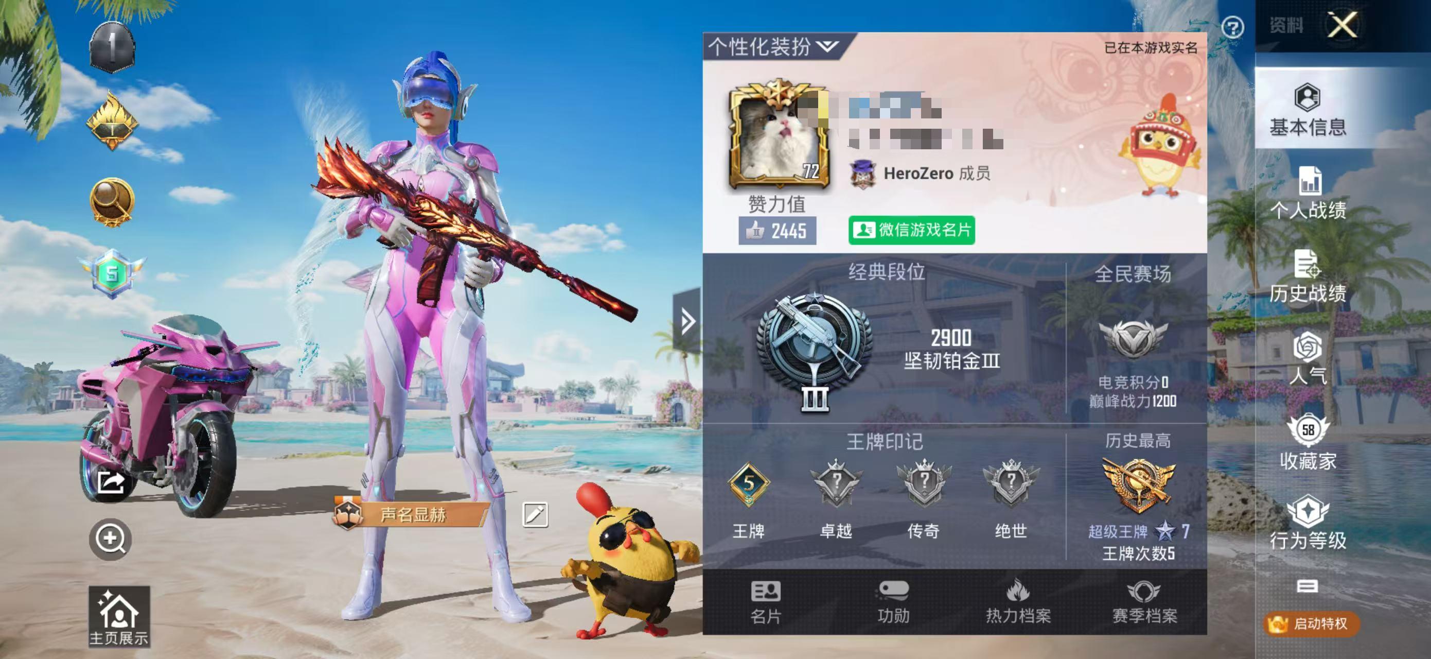 HPSJ3298244和平精英账号详情图2 HPSJ3298244和平精英账号详情图2
