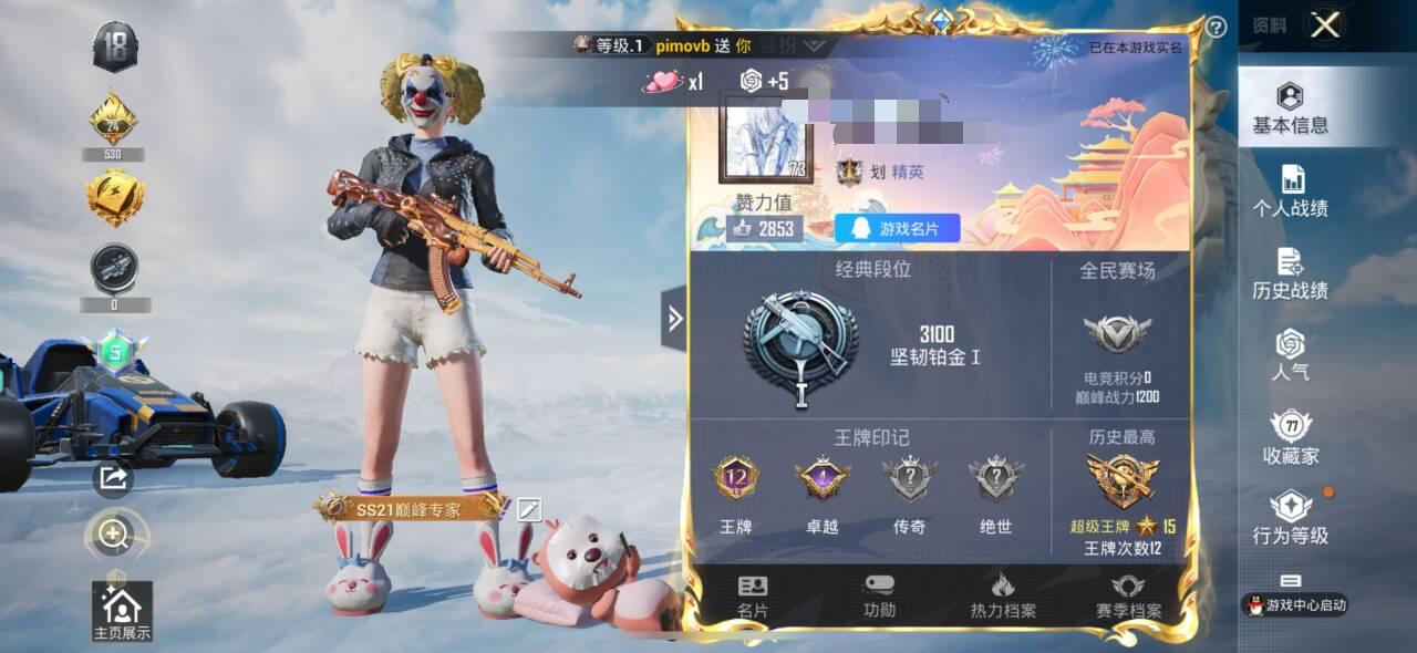 HPSJ3312282和平精英账号详情图2 HPSJ3312282和平精英账号详情图2