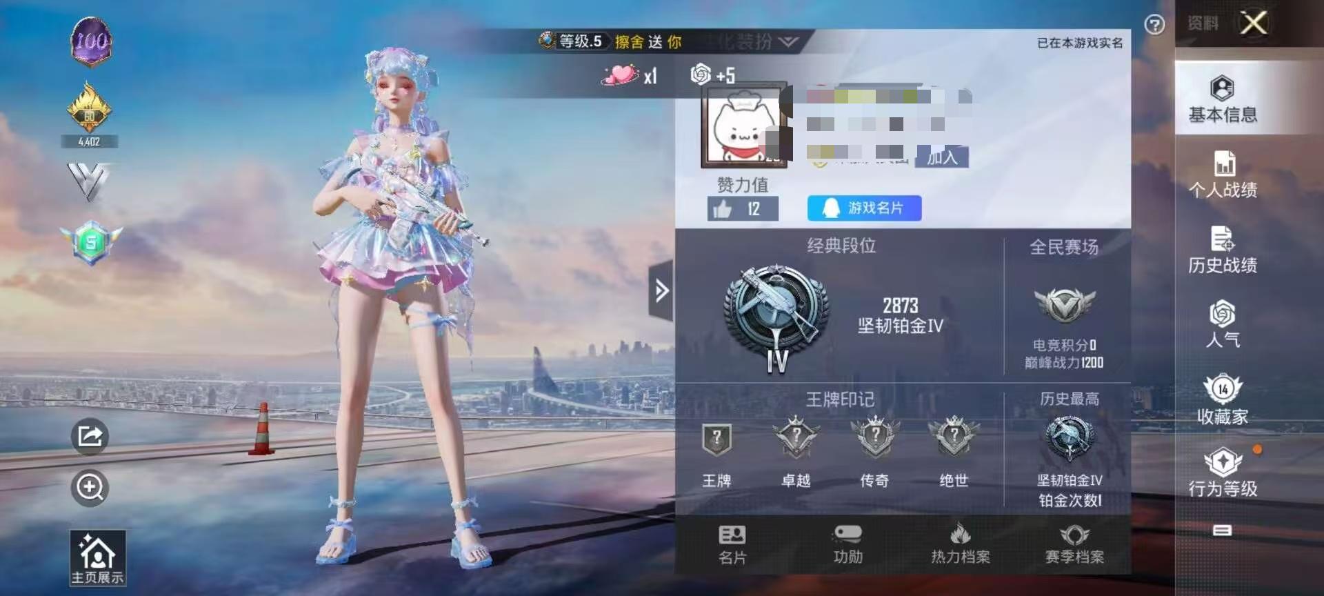 HPSJ3314362和平精英账号详情图2 HPSJ3314362和平精英账号详情图2