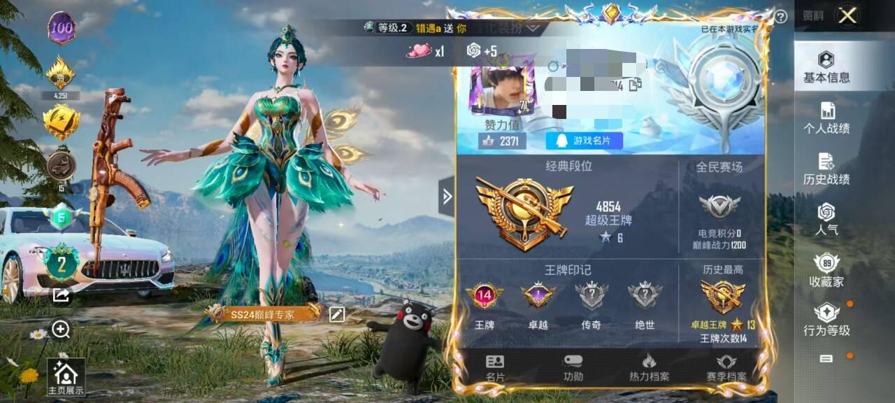 HPSJ3314982和平精英账号详情图2 HPSJ3314982和平精英账号详情图2