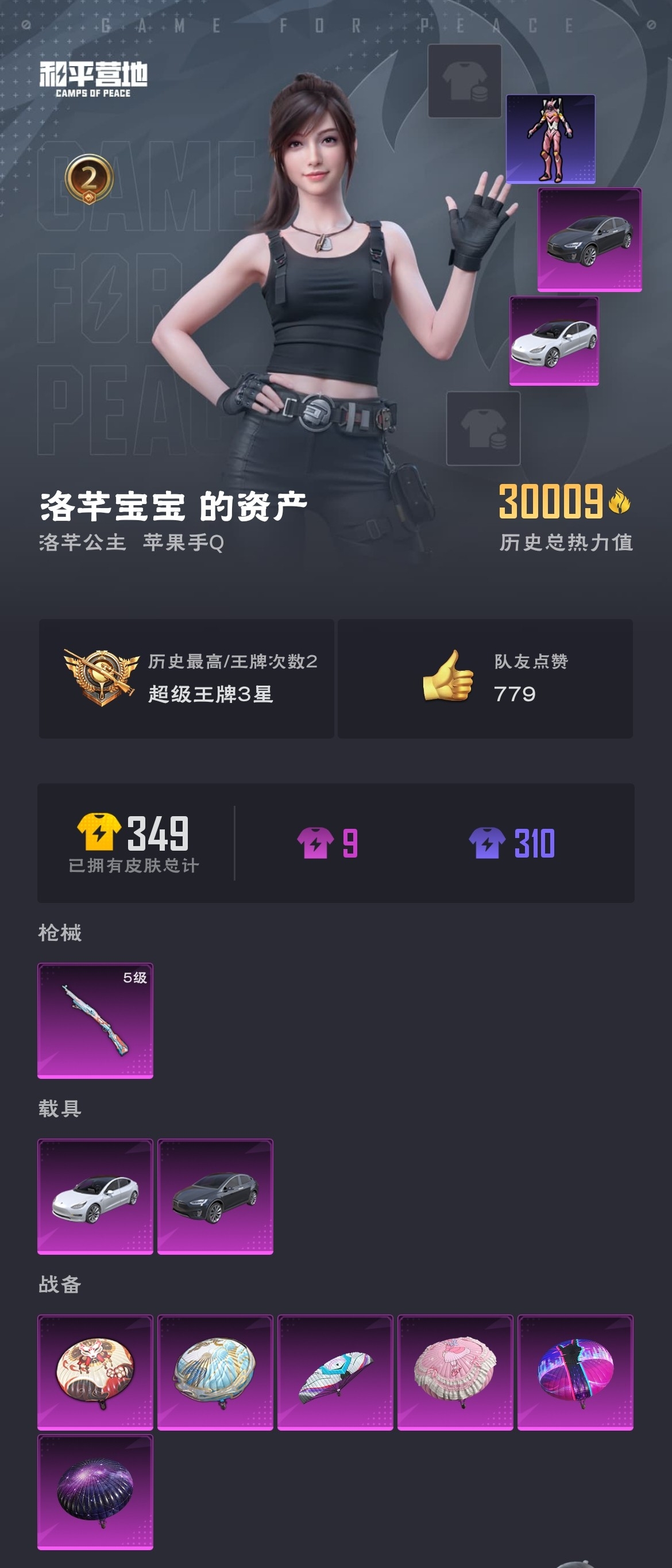HPZM3314173和平精英账号详情图2 HPZM3314173和平精英账号详情图2