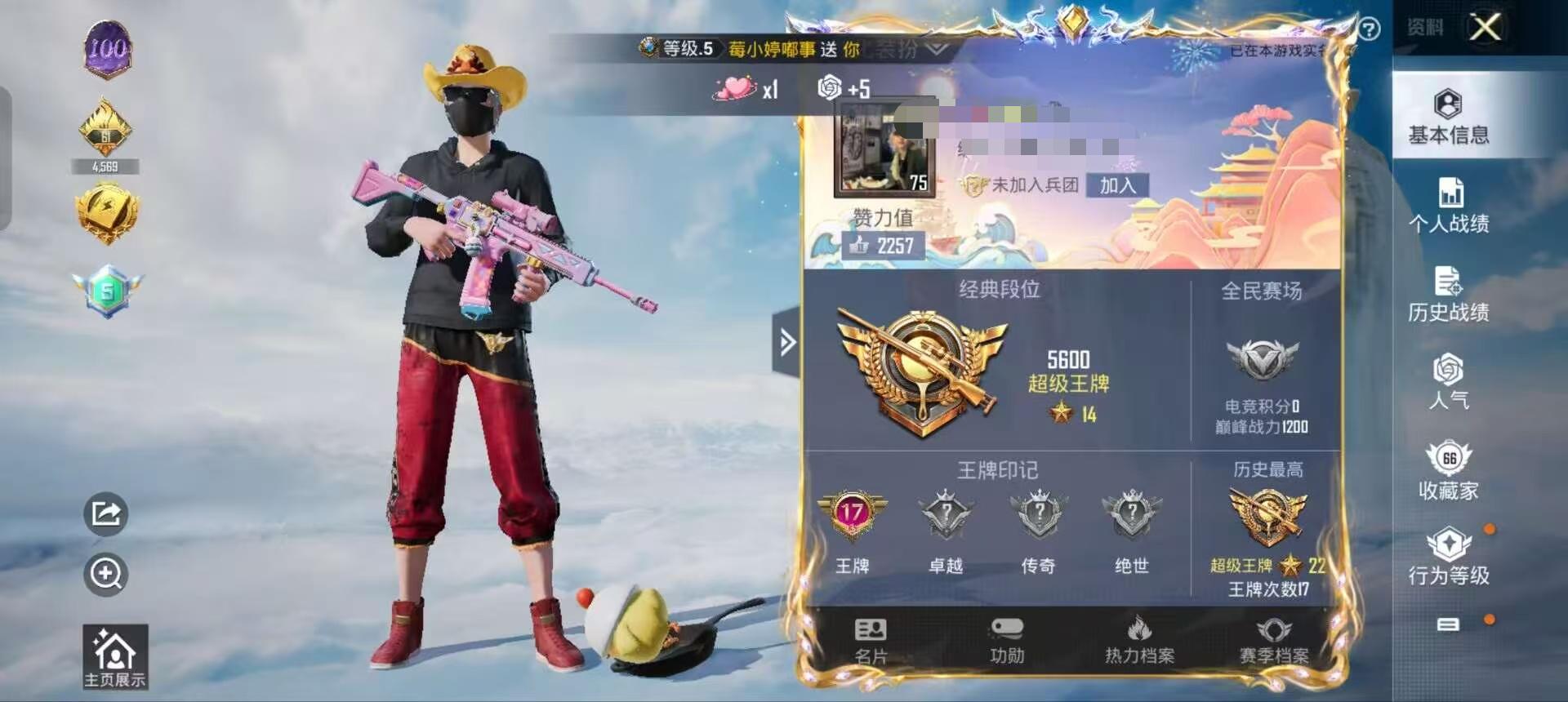 HPSJ3314953和平精英账号详情图2 HPSJ3314953和平精英账号详情图2