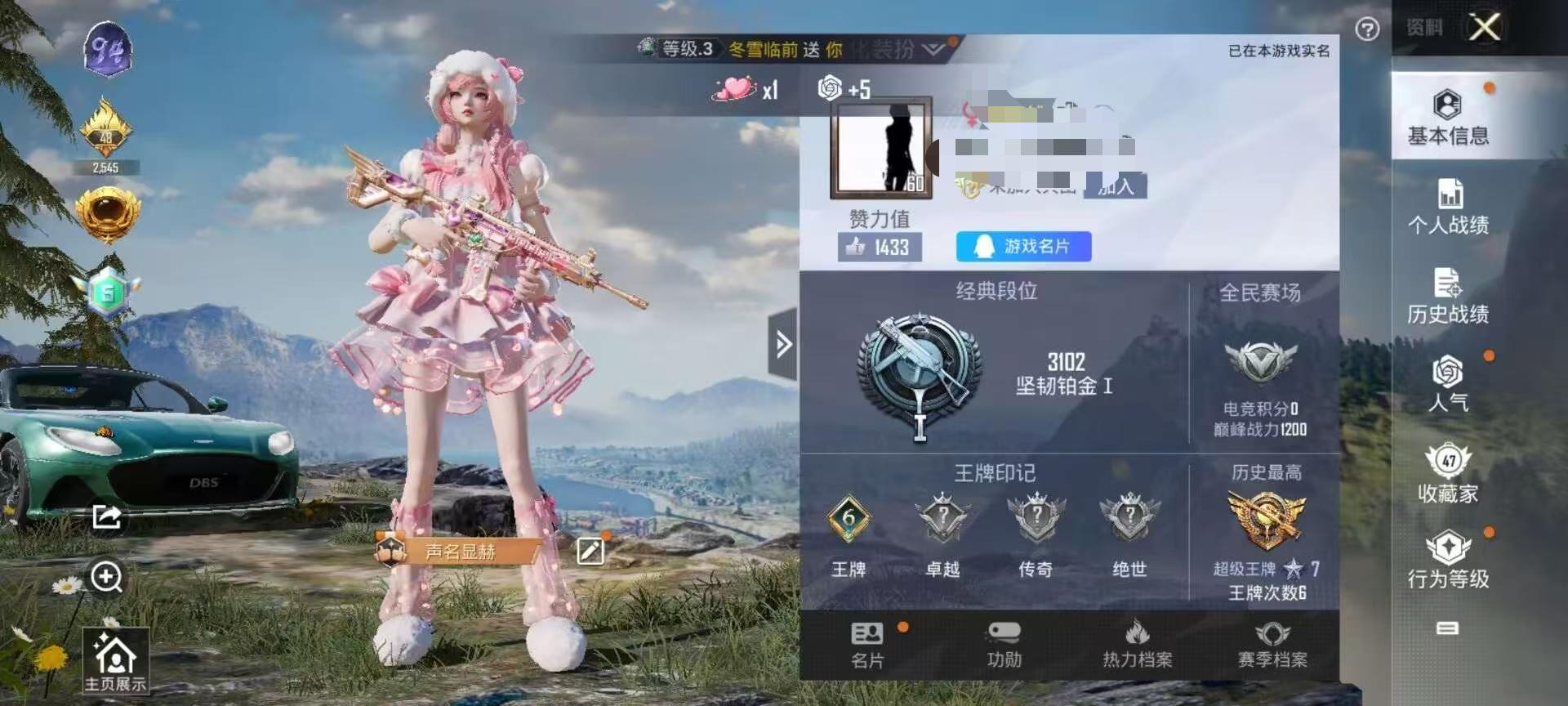 HPSJ3313034和平精英账号详情图2