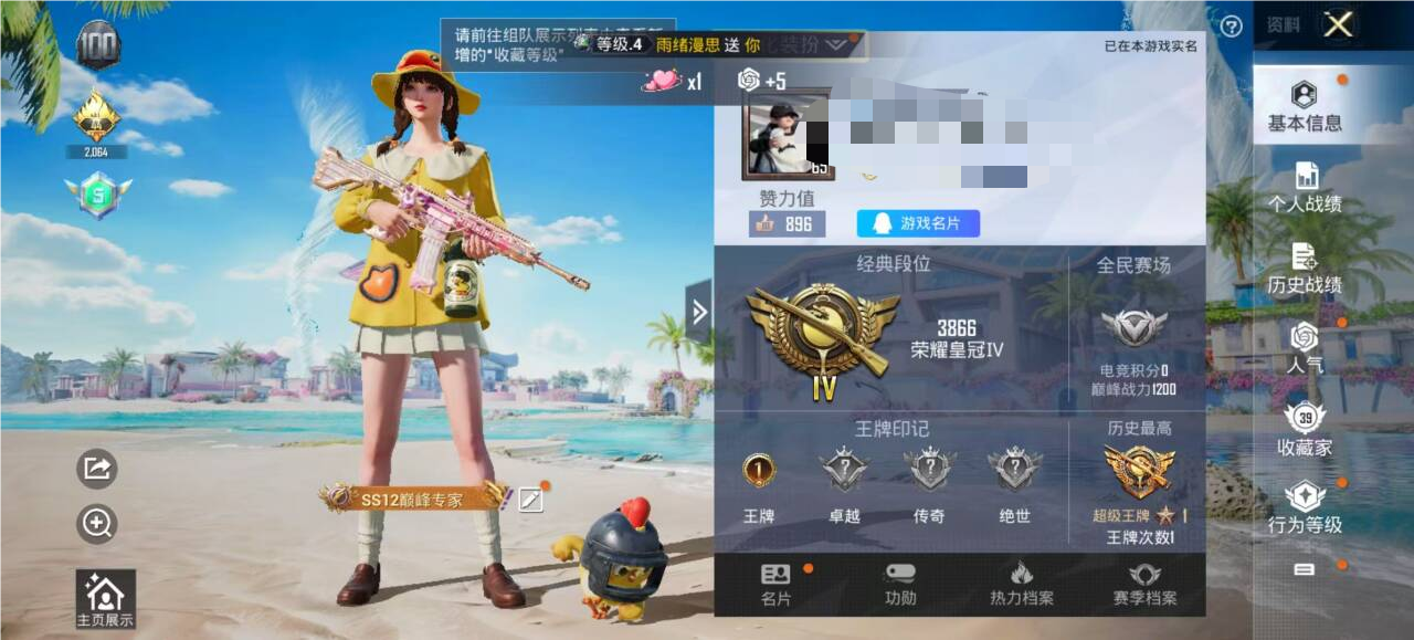 HPSJ3313713和平精英账号详情图4 HPSJ3313713和平精英账号详情图4