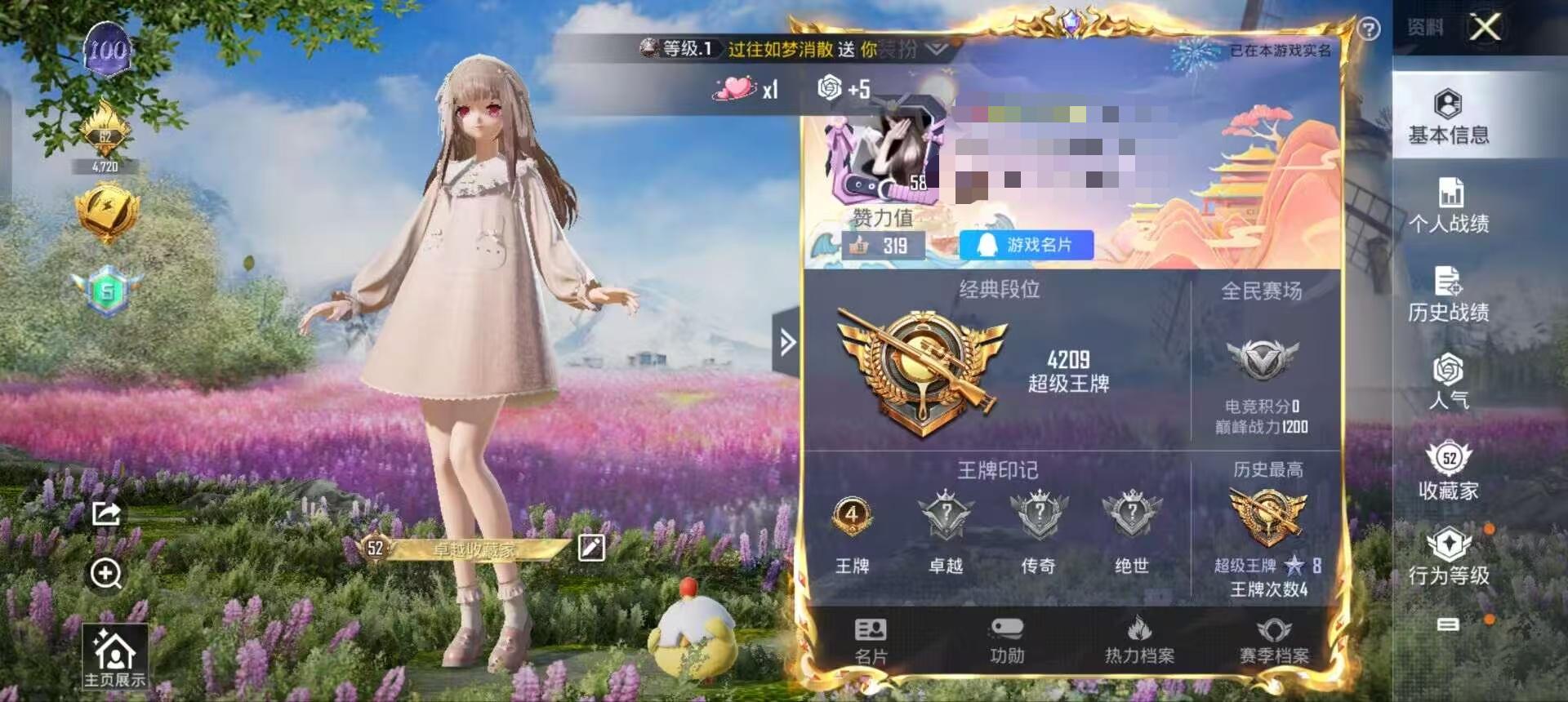 HPSJ3314294和平精英账号详情图3 HPSJ3314294和平精英账号详情图3